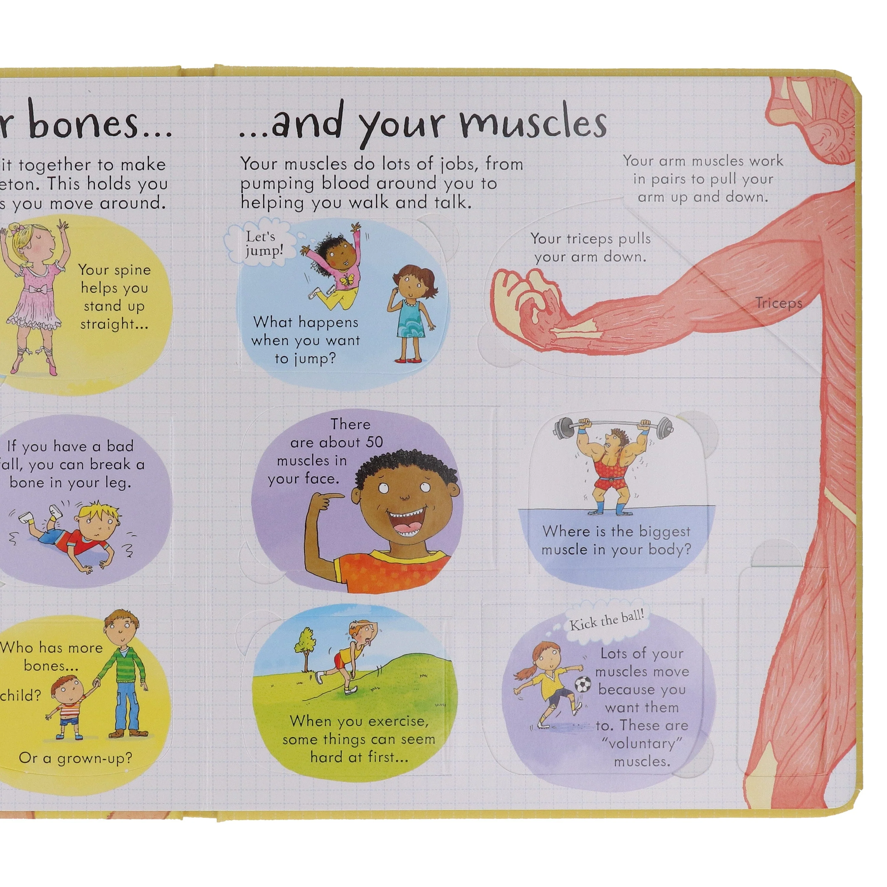 Usborne Lift-The-Flap: Look Inside Your Body by Louie Stowell - Ages 5-9 - Board books - Image 5