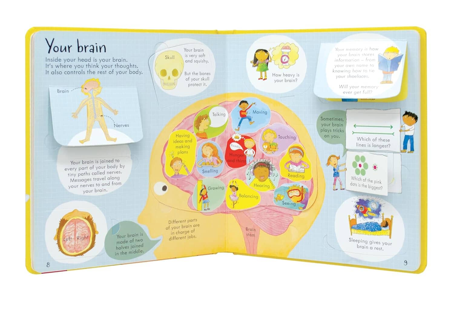 Usborne Lift-The-Flap: Look Inside Your Body by Louie Stowell - Ages 5-9 - Board books - Image 6