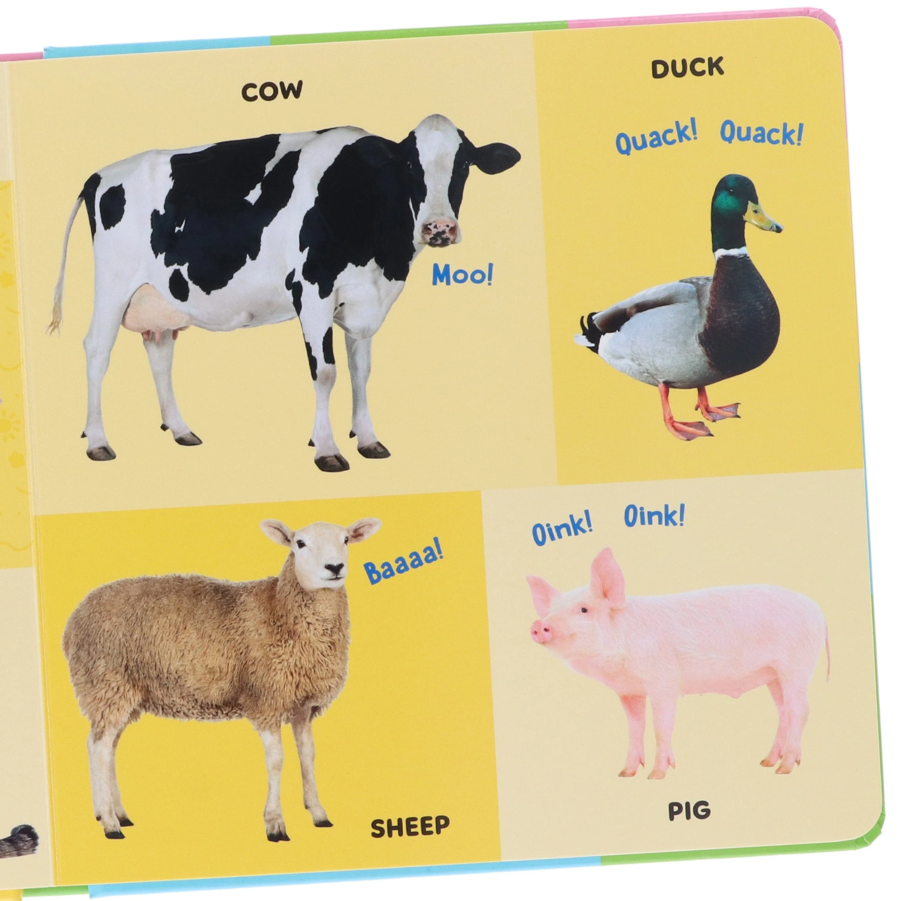 Ms Rachel's Collection Illustrated 3 Books: Early Learning & Speech Development Set - Ages 1-5 - Paperback - Image 8