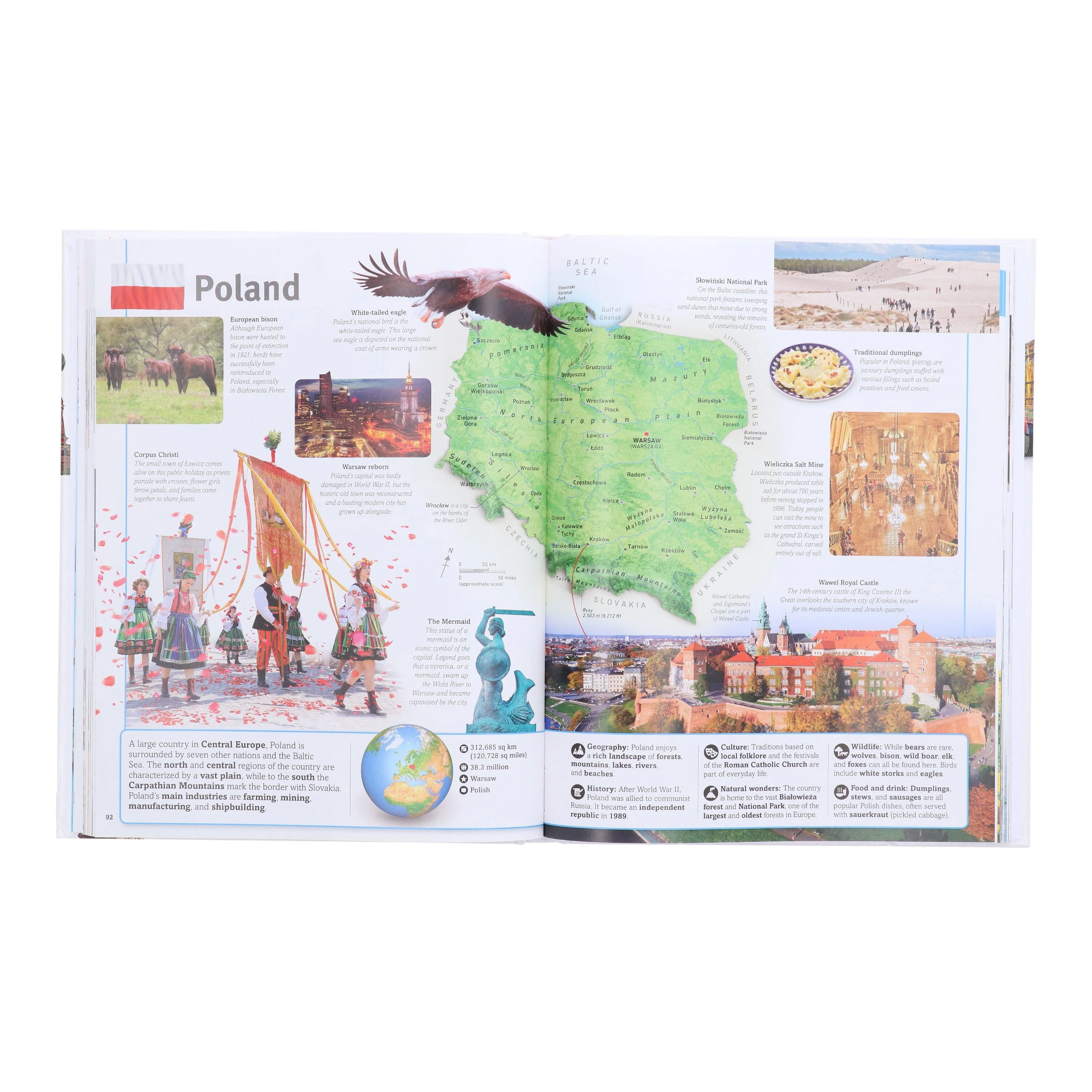 Our World in Pictures: Countries, Cultures, People & Places: A Visual Encyclopedia of the World by DK - Ages 7+ - Hardback - Image 5