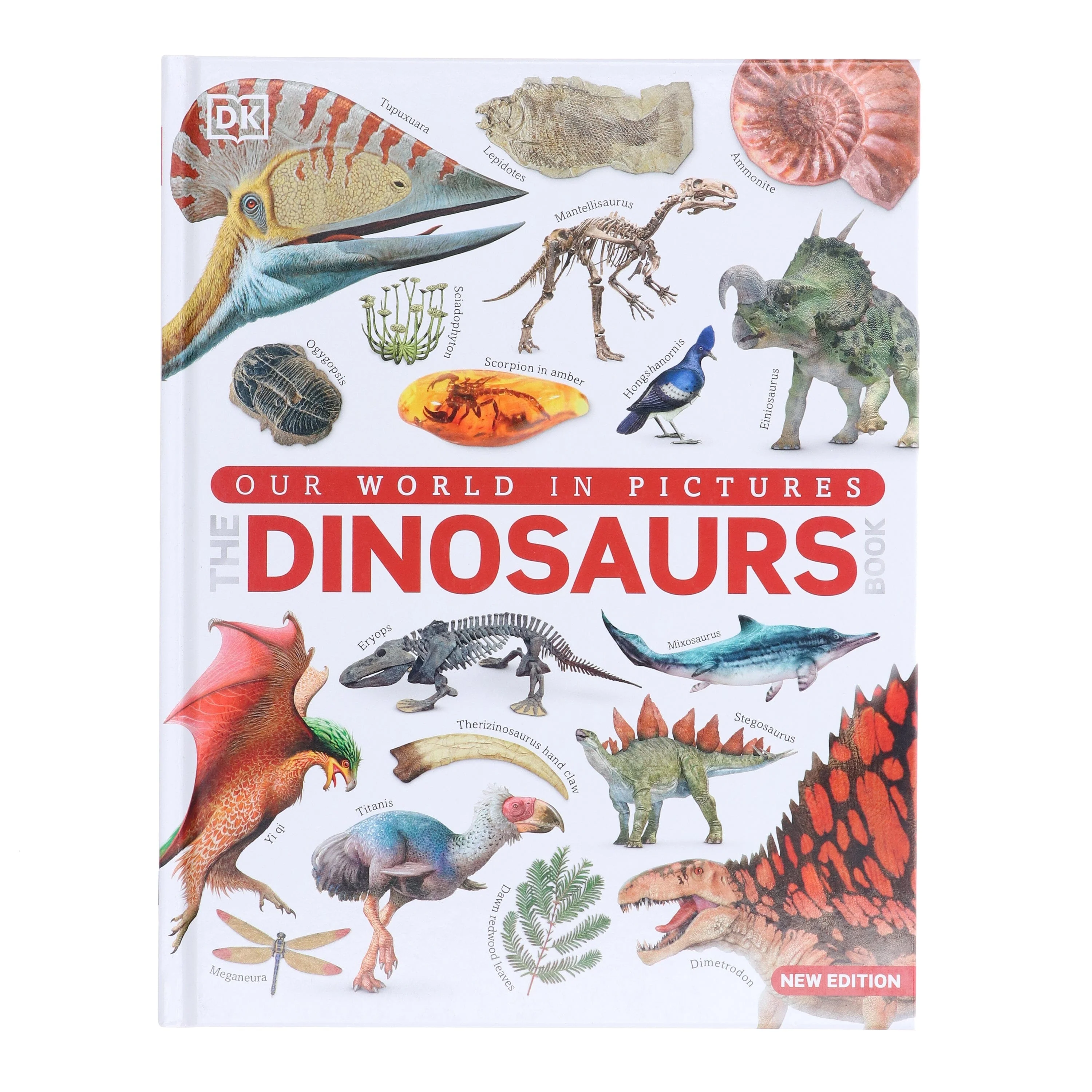 Our World in Pictures: The Dinosaurs Book by DK - Ages 9-12 - Hardback - Image 2