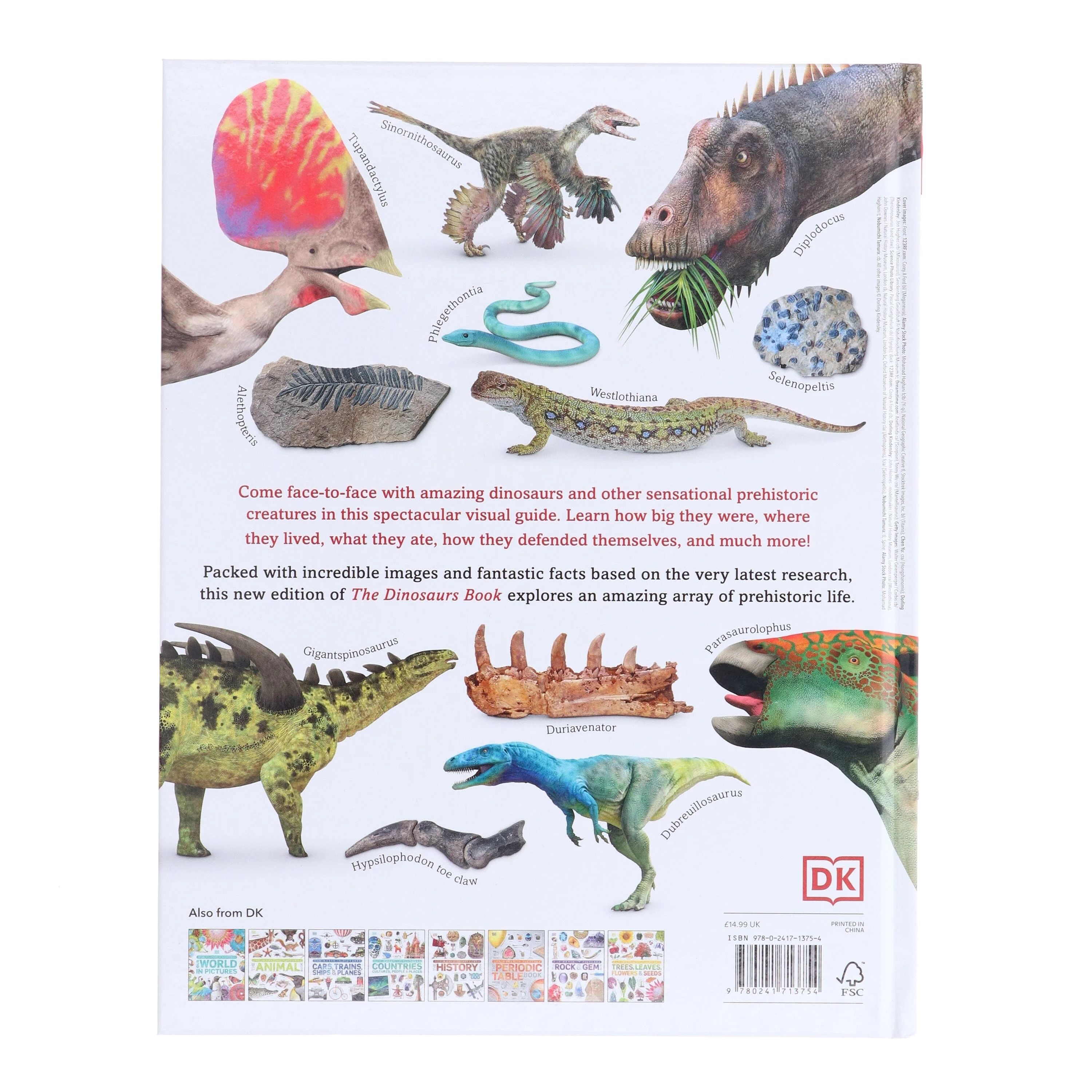 Our World in Pictures: The Dinosaurs Book by DK - Ages 9-12 - Hardback - Image 3
