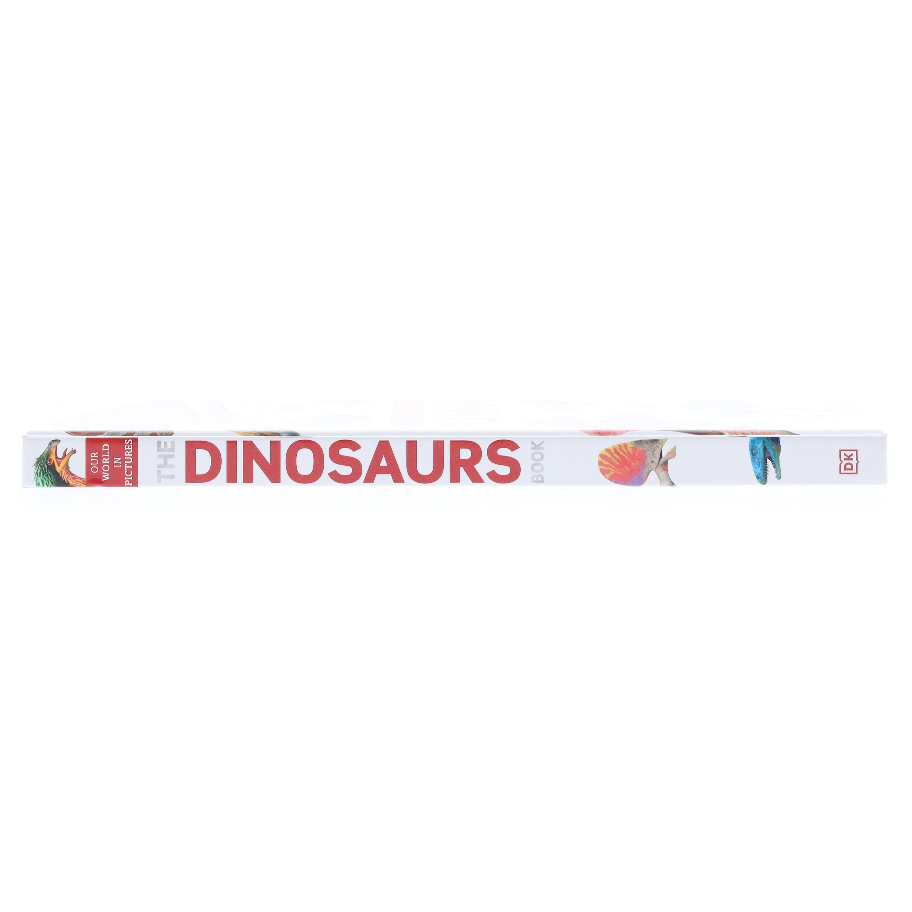 Our World in Pictures: The Dinosaurs Book by DK - Ages 9-12 - Hardback - Image 4