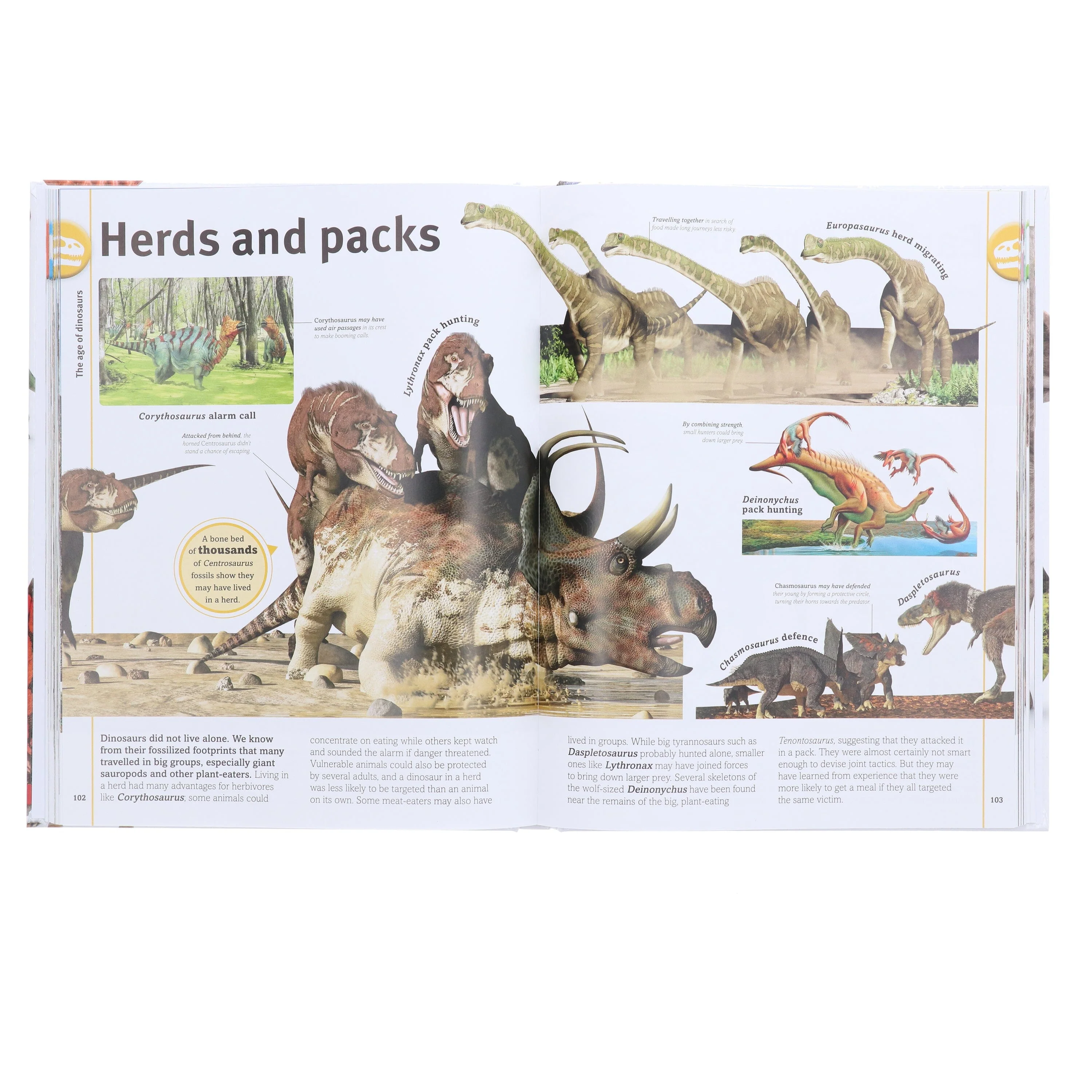 Our World in Pictures: The Dinosaurs Book by DK - Ages 9-12 - Hardback - Image 5
