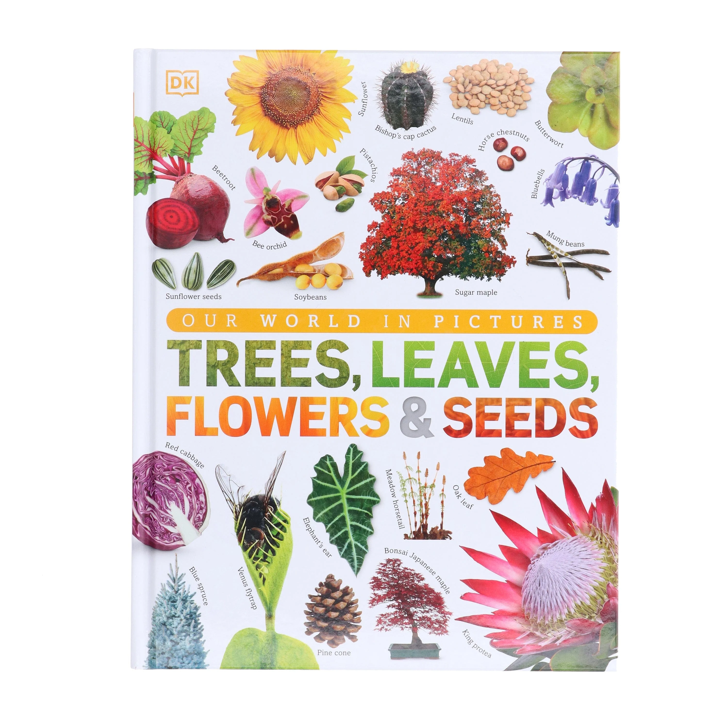 Our World in Pictures: Trees, Leaves, Flowers & Seeds: A visual encyclopedia of the plant kingdom by DK - Non Fiction - Hardback - Image 2