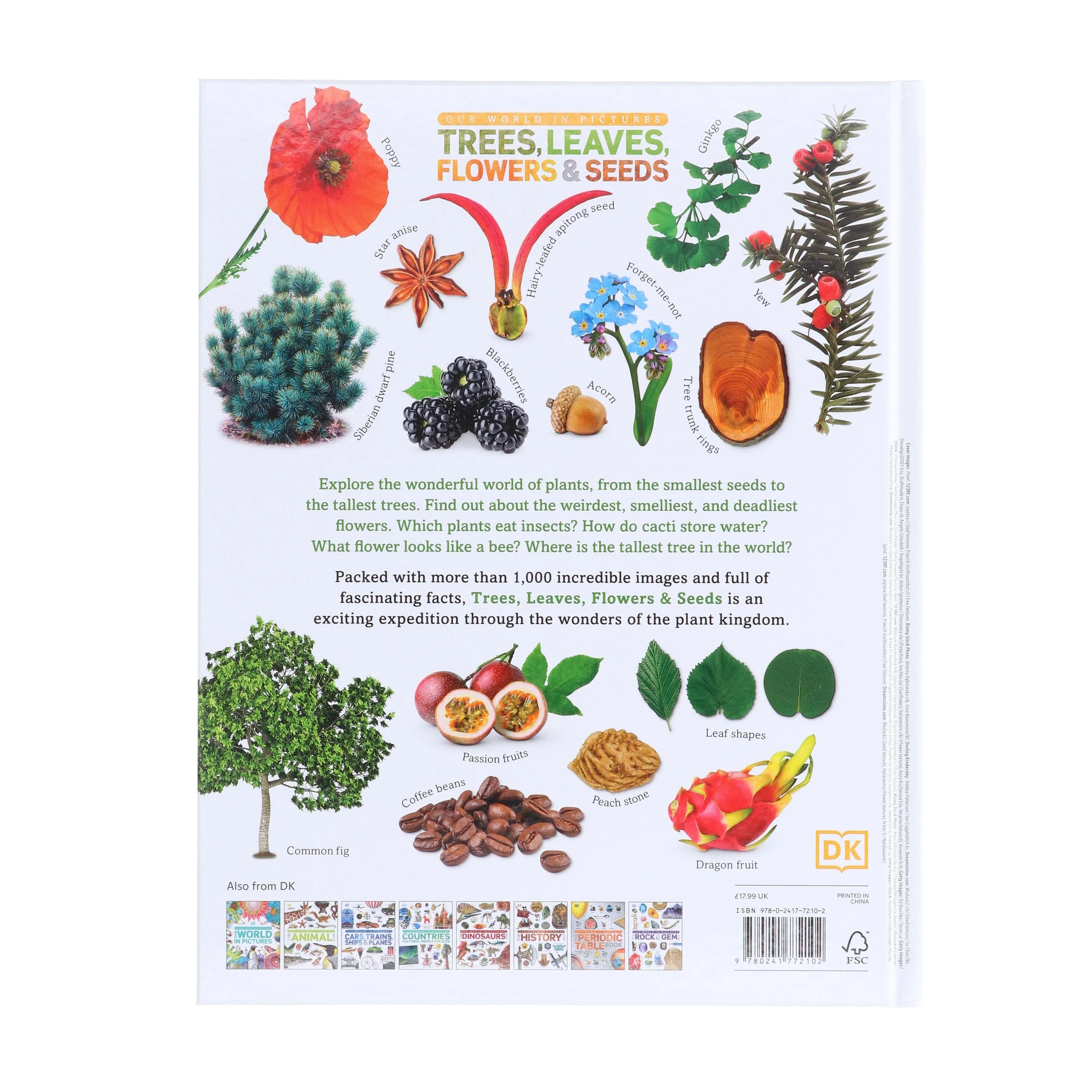 Our World in Pictures: Trees, Leaves, Flowers & Seeds: A visual encyclopedia of the plant kingdom by DK - Non Fiction - Hardback - Image 3