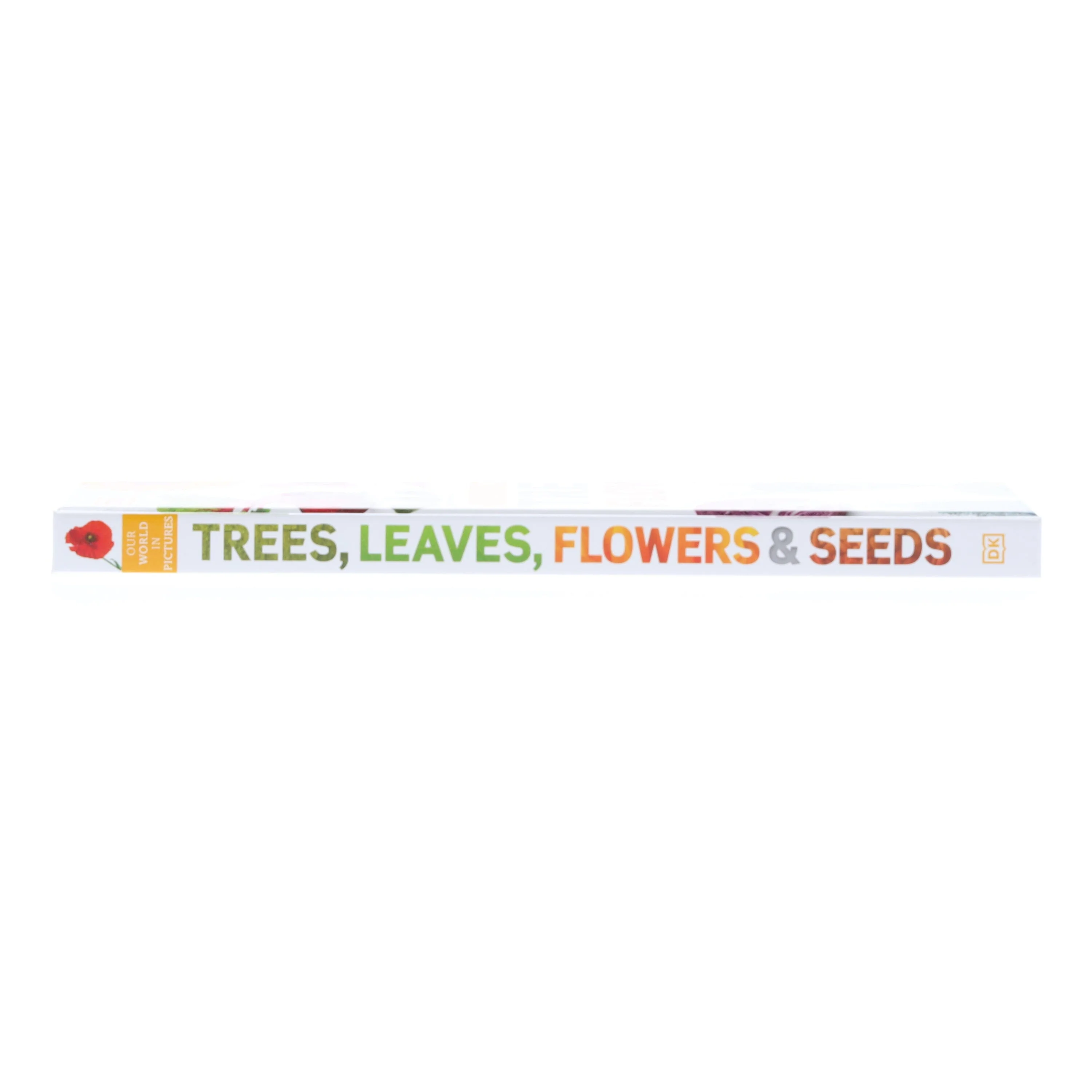 Our World in Pictures: Trees, Leaves, Flowers & Seeds: A visual encyclopedia of the plant kingdom by DK - Non Fiction - Hardback - Image 4