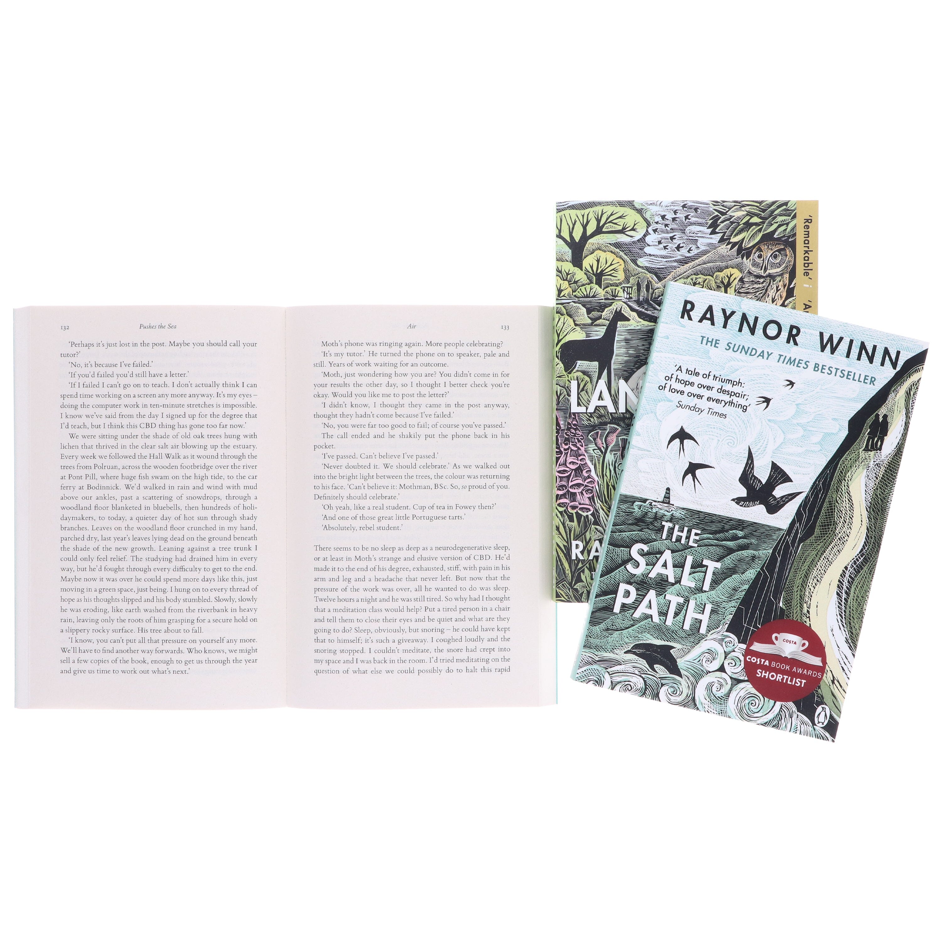 Raynor Winn Collection (The Wild Silence, The Salt Path & Landlines) 3 Books Set - Non Fiction - Paperback - Image 7