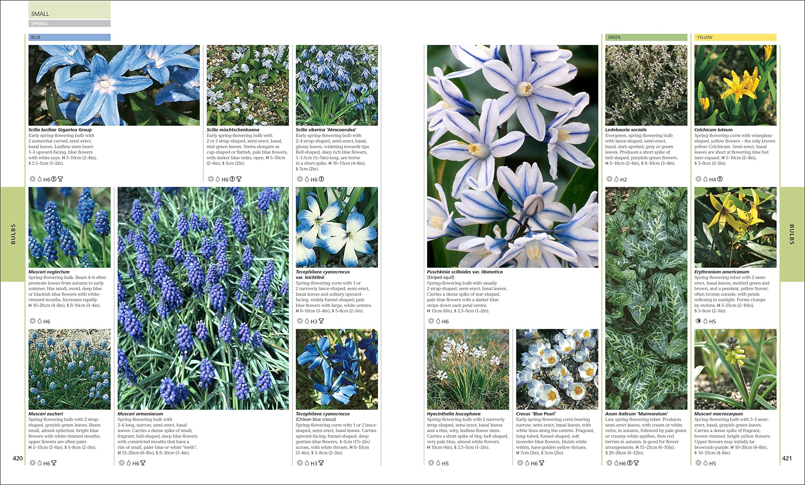 Damaged - RHS Encyclopedia of Plants and Flowers by Christopher Brickell - Non Fiction - Hardback - T 40 - Image 4
