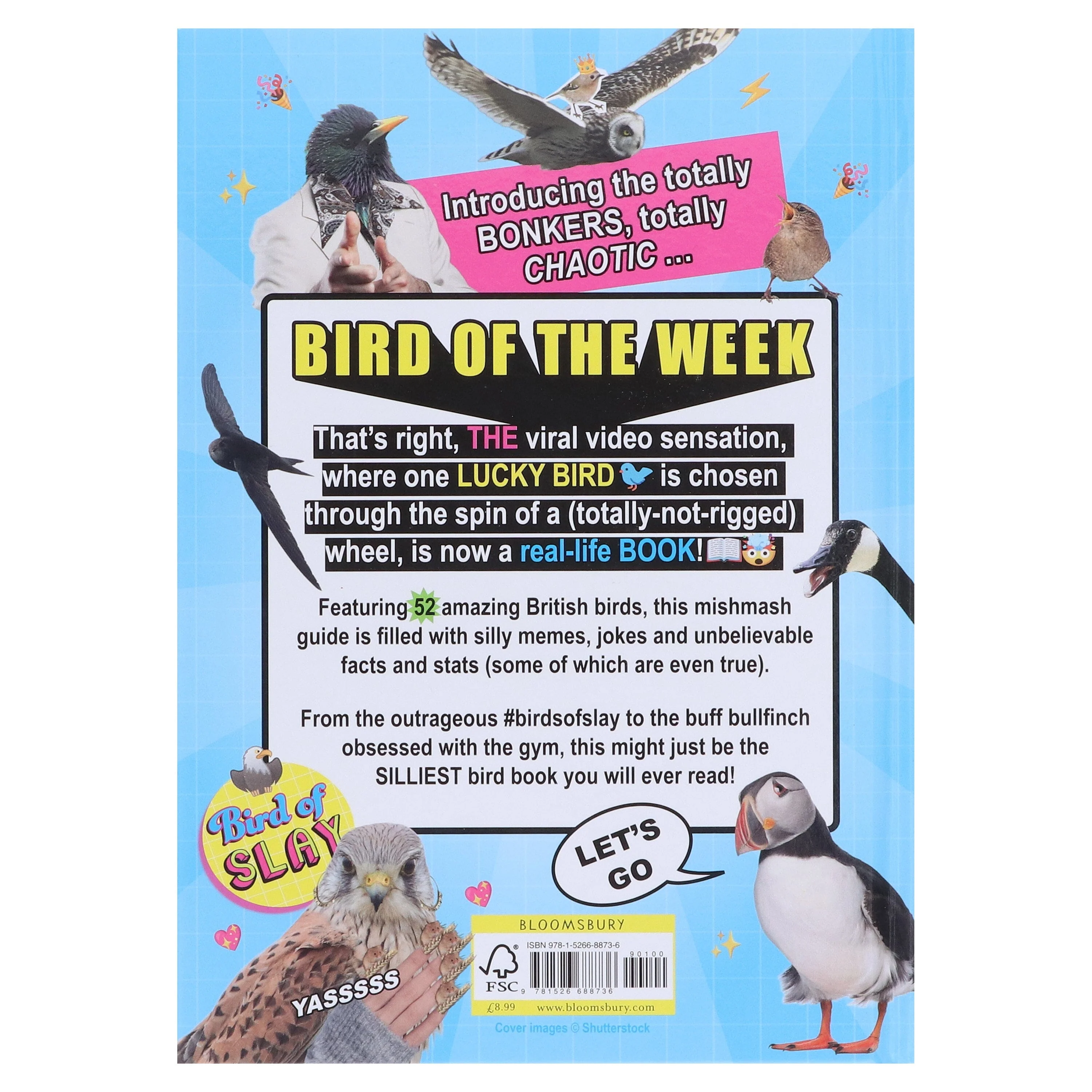 RSPB Bird of the Week: The TikTok thing but, like, a book? - Non Fiction - Hardback - Image 3