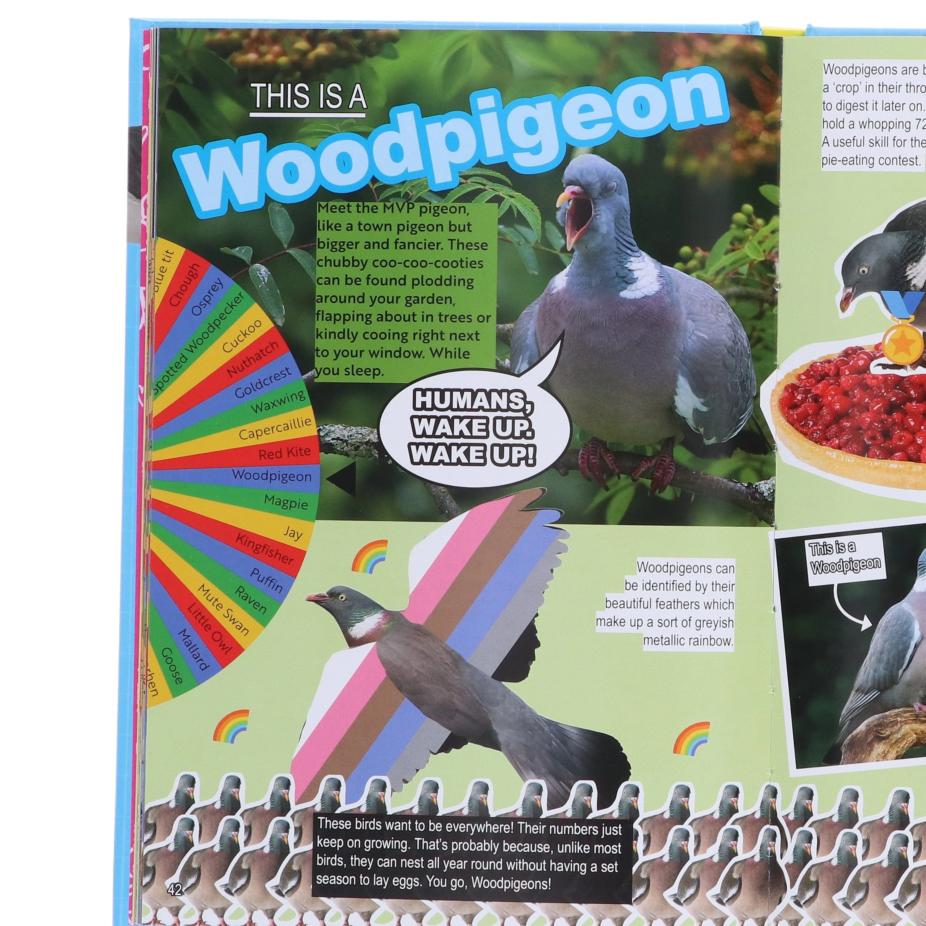RSPB Bird of the Week: The TikTok thing but, like, a book? - Non Fiction - Hardback - Image 5