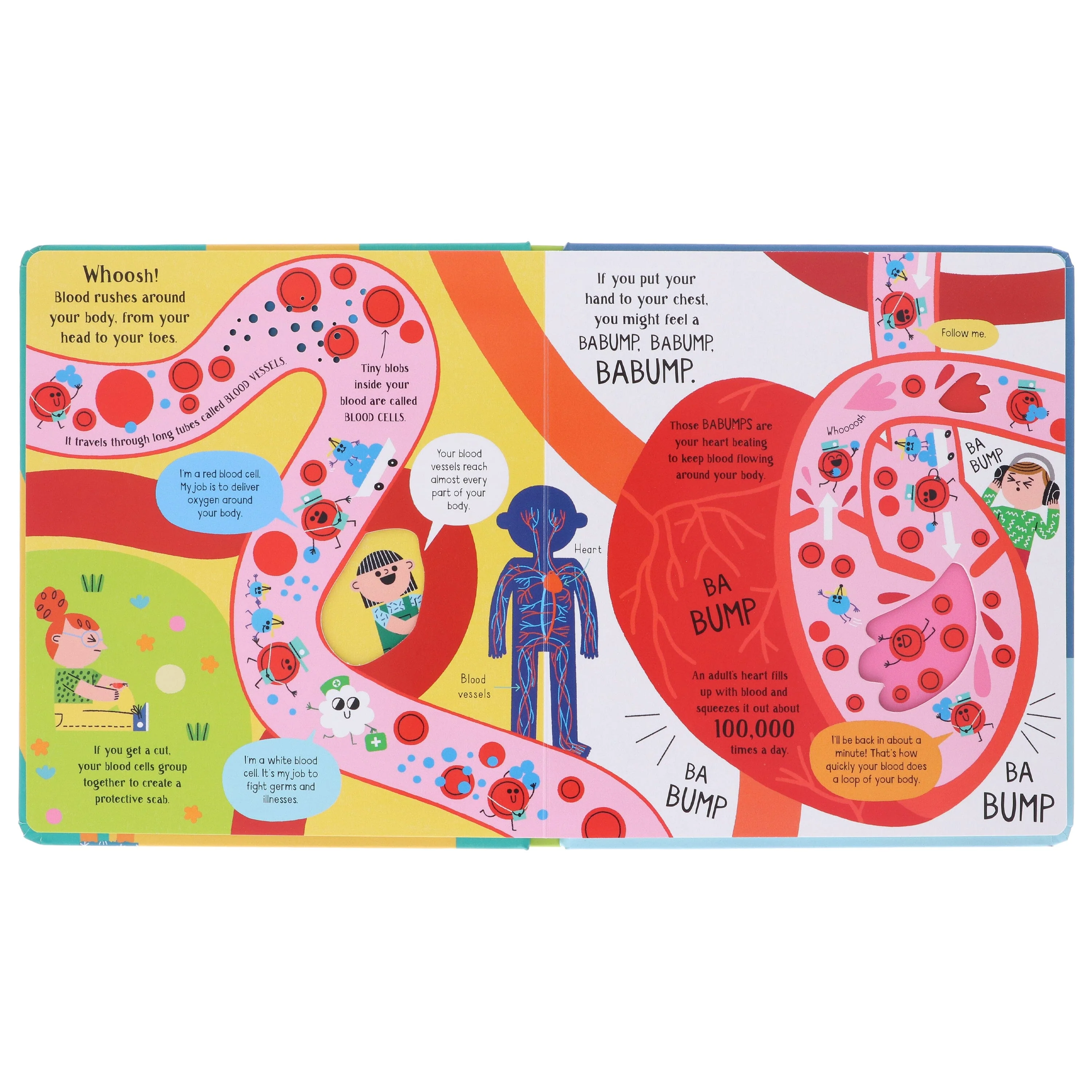 Step Inside Science: Your Body by Lara Bryan - Ages 5+ - Board Book - Image 5