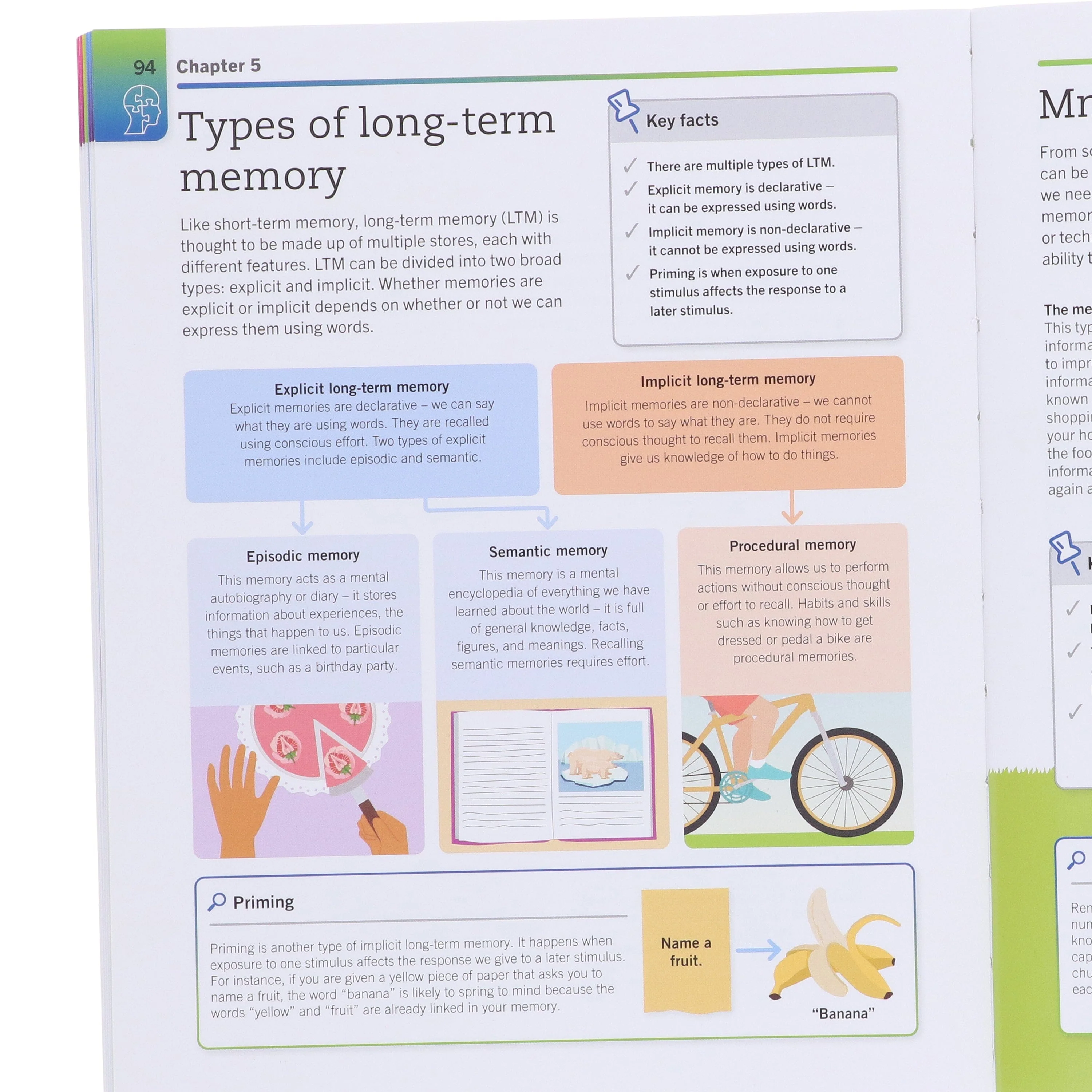 Super Simple Psychology: The Ultimate Bitesize Study Guide For A Level - Non Fiction - Paperback - Image 5