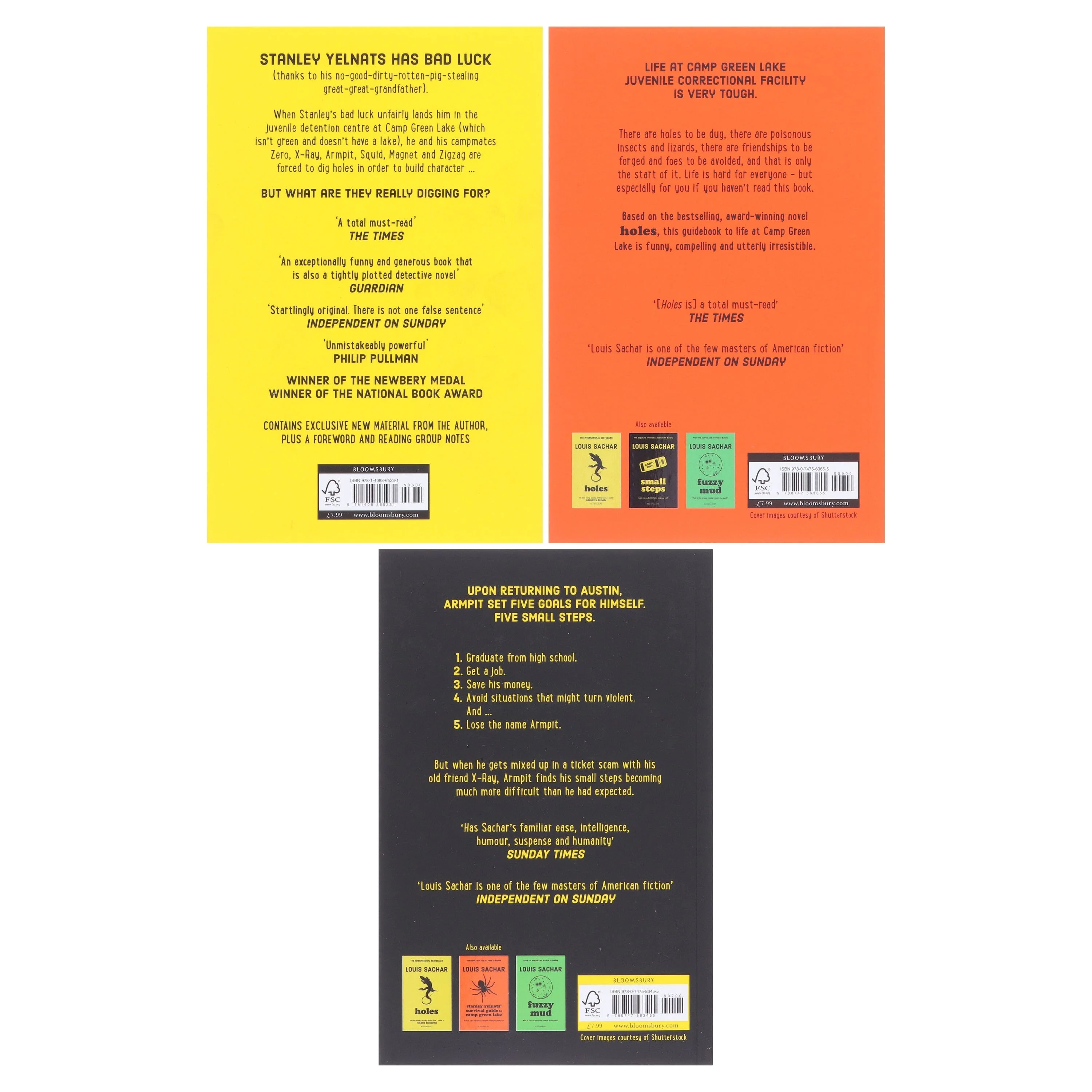 The Holes Series by Louis Sachar 3 Books Collection Set - Ages 9-11 - Paperback - Image 3