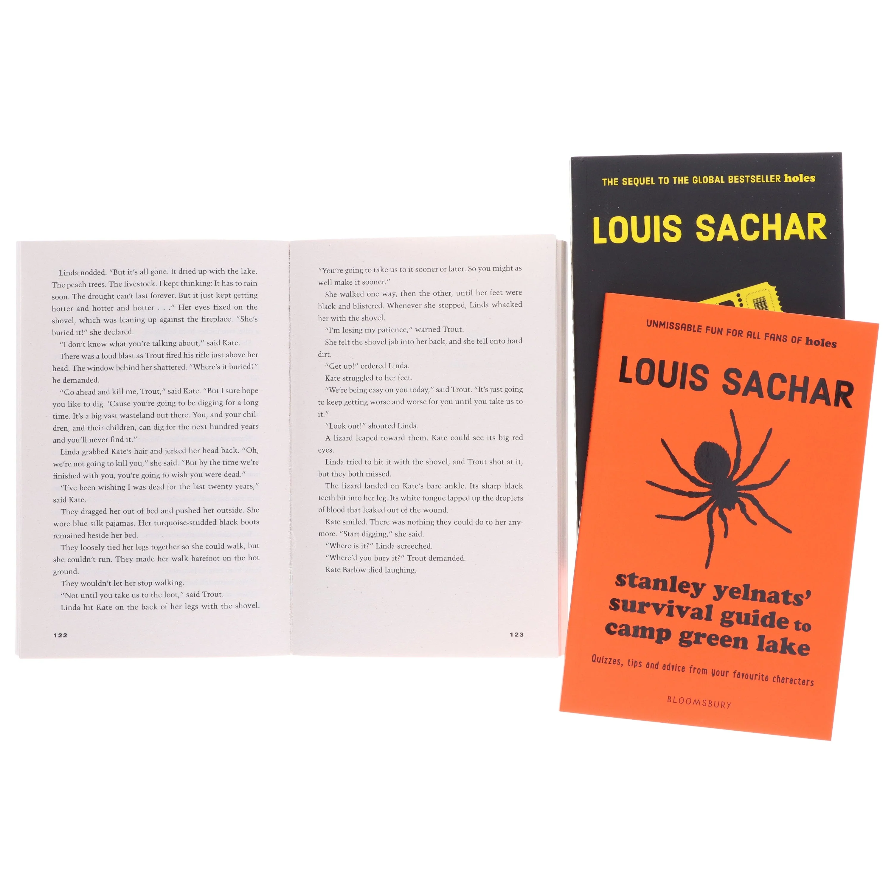 The Holes Series by Louis Sachar 3 Books Collection Set - Ages 9-11 - Paperback - Image 6