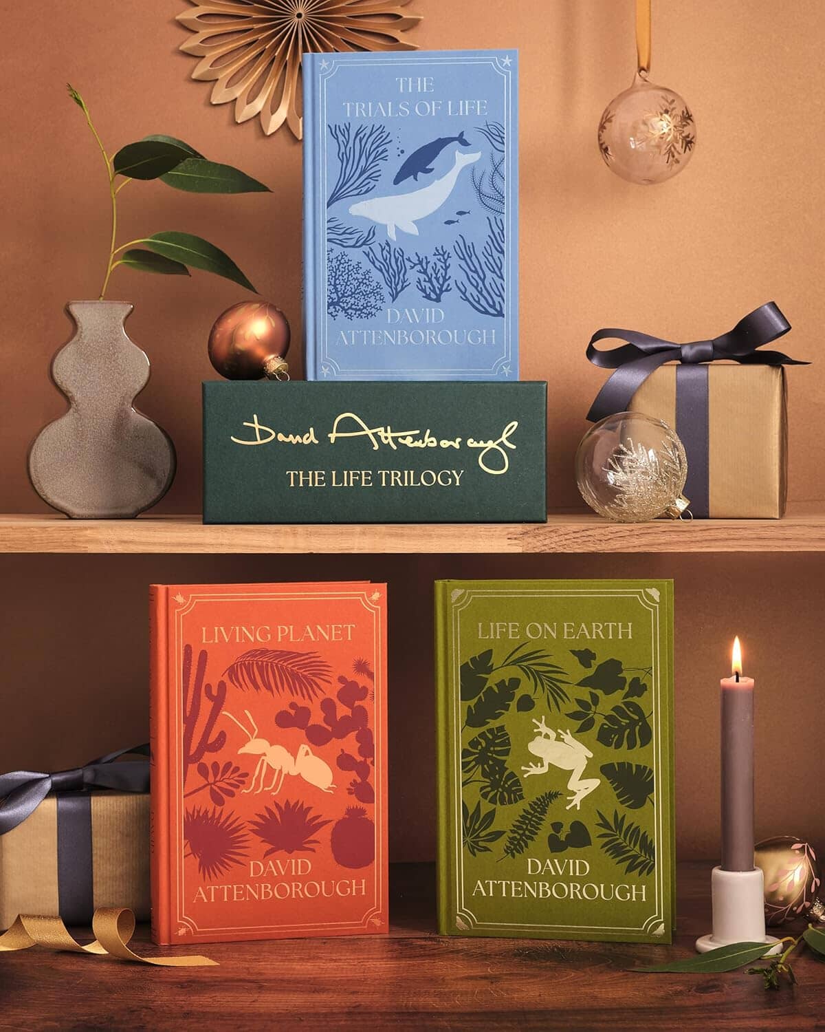 The Life Trilogy Boxset: The Greatest Story Ever Told by David Attenborough (Centenary Edition) - Non Fiction - Hardback - Image 10