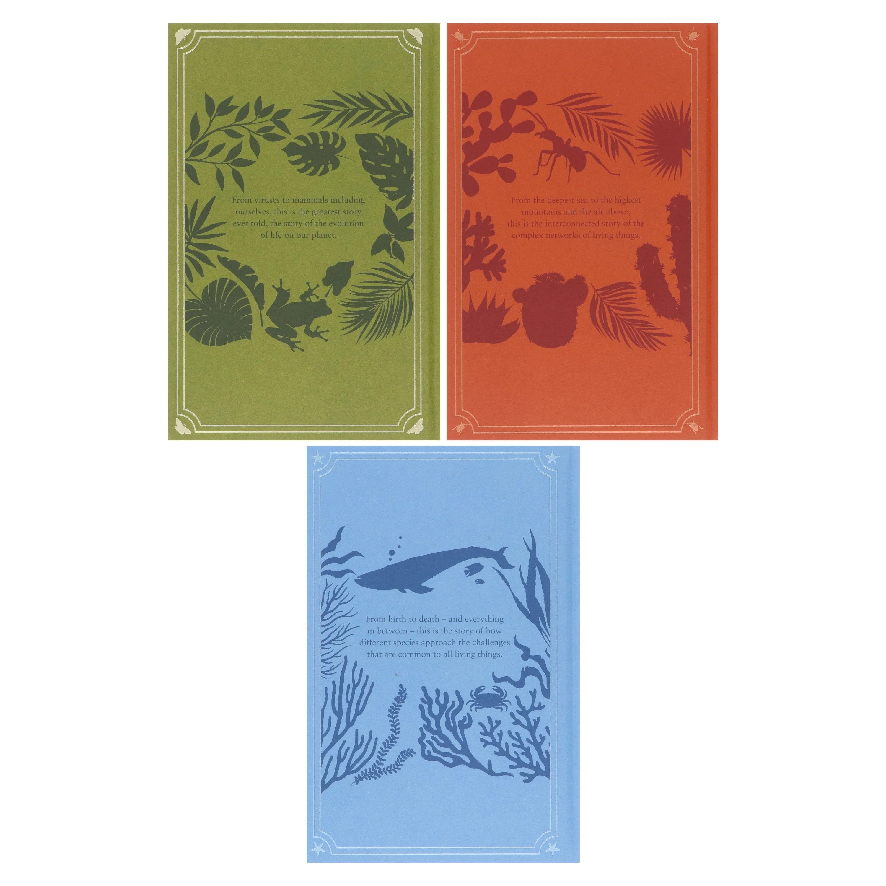 The Life Trilogy Boxset: The Greatest Story Ever Told by David Attenborough (Centenary Edition) - Non Fiction - Hardback - Image 3