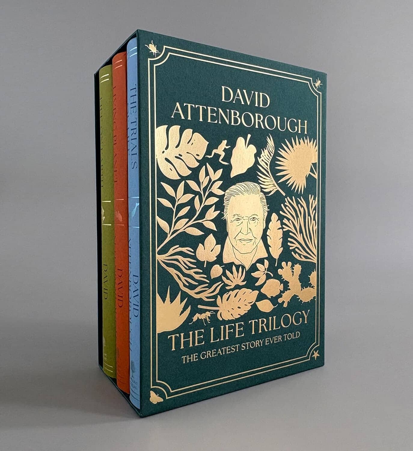 The Life Trilogy Boxset: The Greatest Story Ever Told by David Attenborough (Centenary Edition) - Non Fiction - Hardback - Image 8