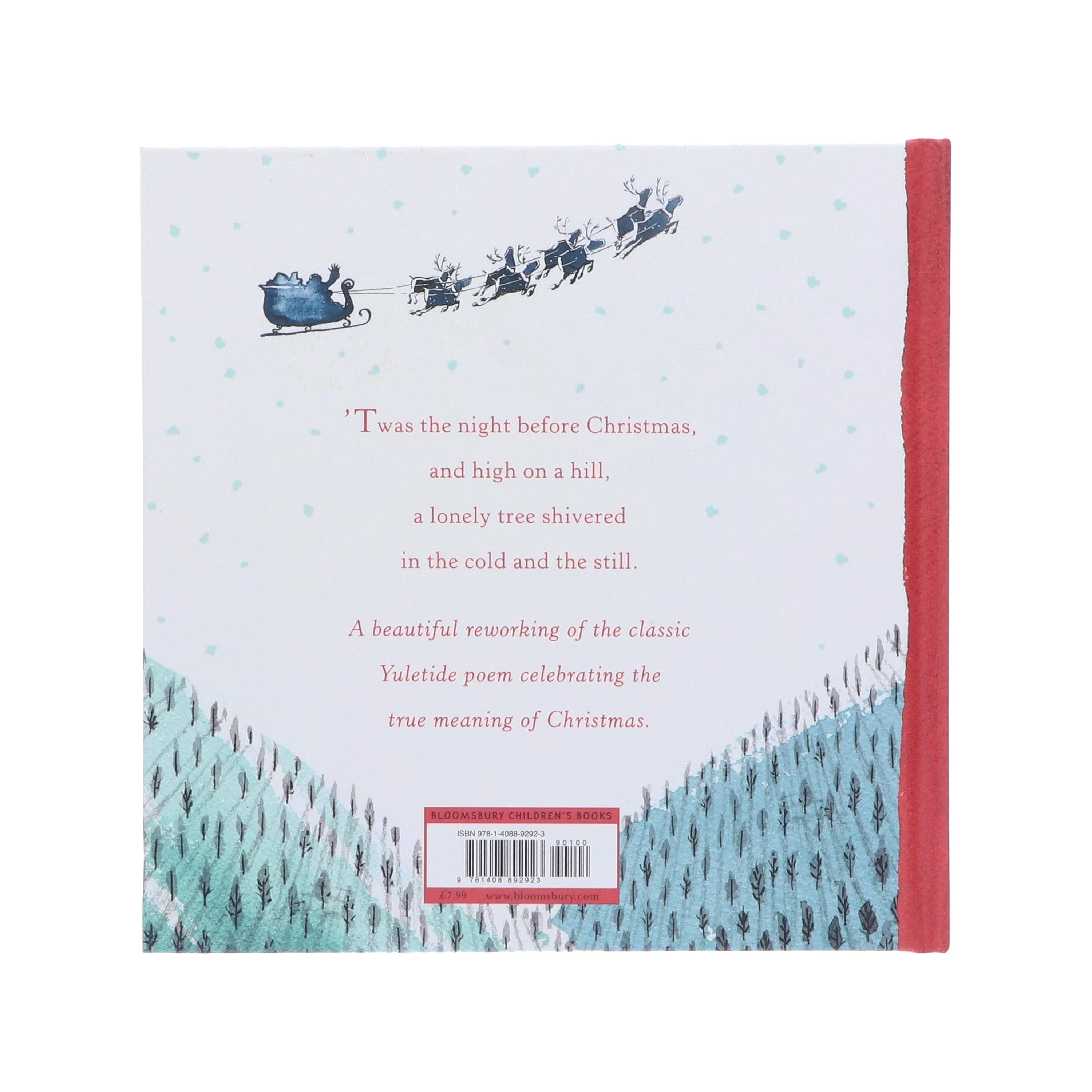 The Lonely Christmas Tree by Chris Naylor-Ballesteros Illustrated Picture Book - Ages 0-5 - Hardback - Image 3