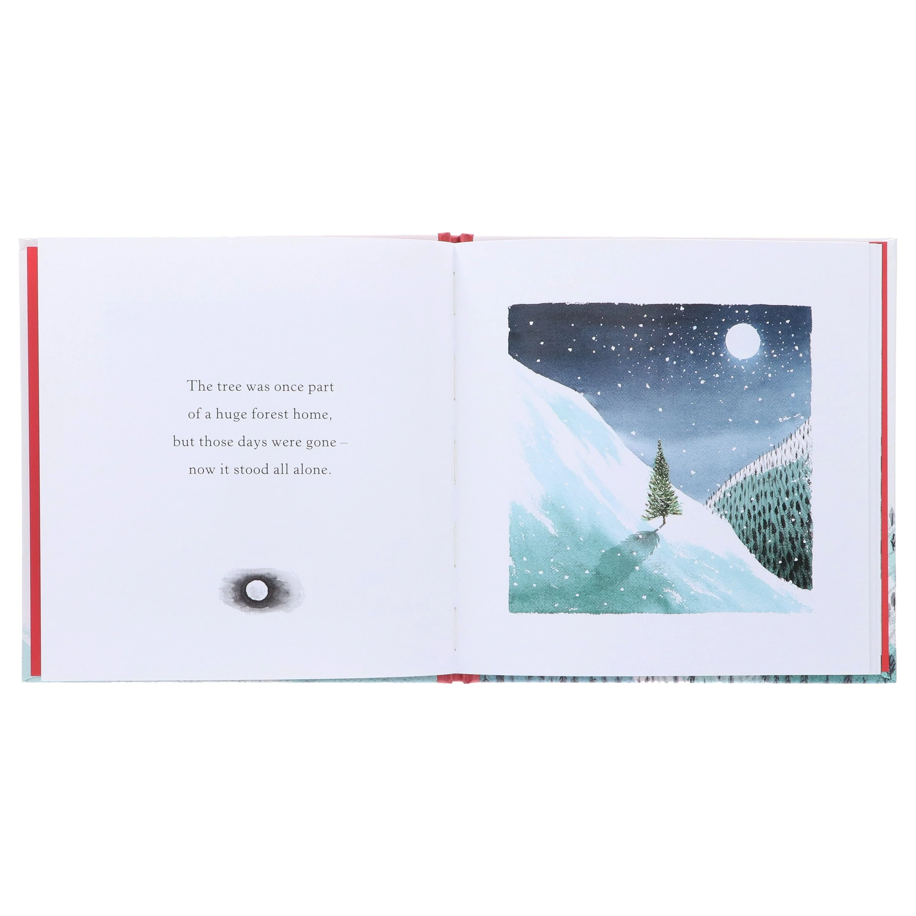 The Lonely Christmas Tree by Chris Naylor-Ballesteros Illustrated Picture Book - Ages 0-5 - Hardback - Image 4