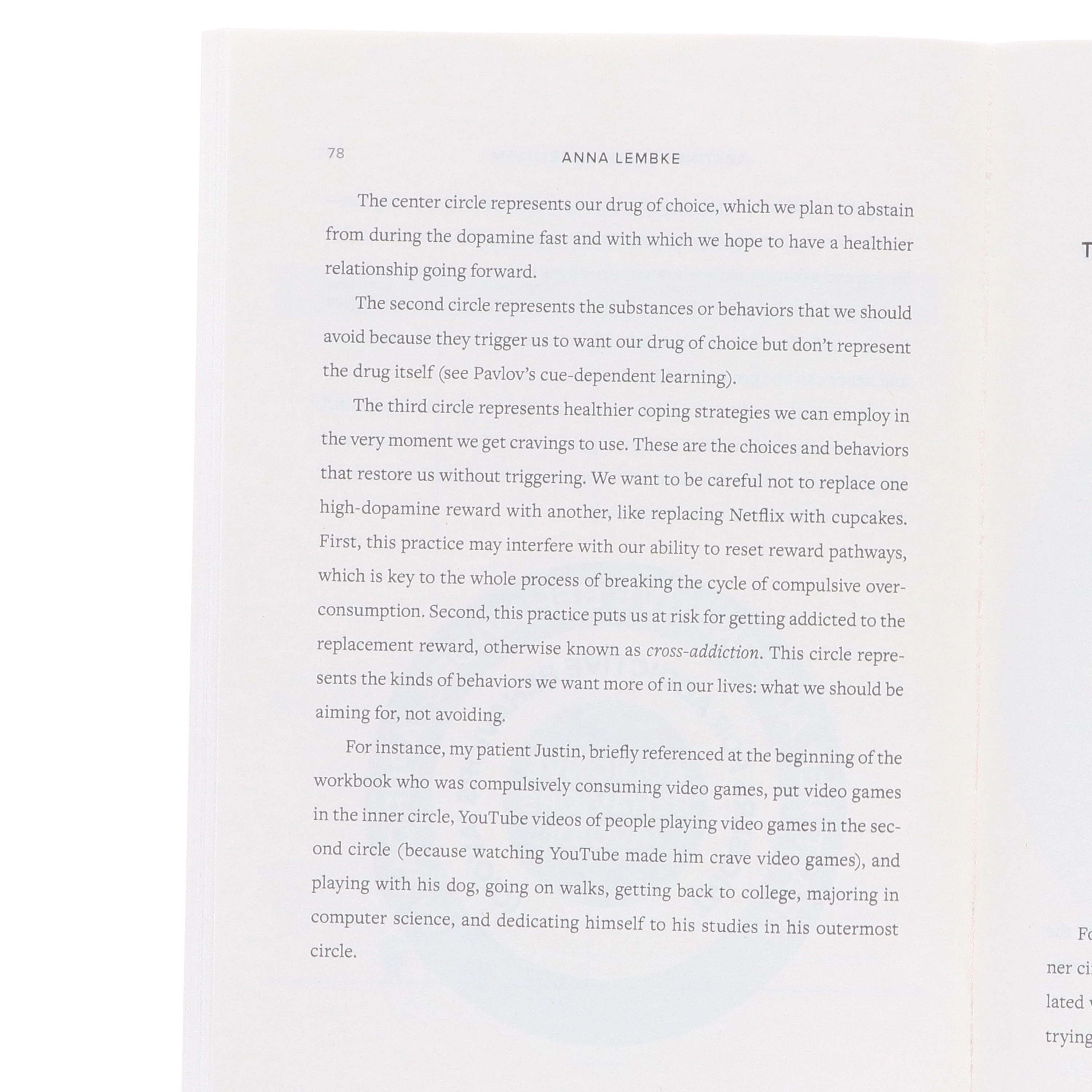 The Official Dopamine Nation Workbook: A Practical Guide to Overcoming Addiction in the Age of Indulgence by Dr Anna Lembke - Non Fiction - Paperback - Image 5