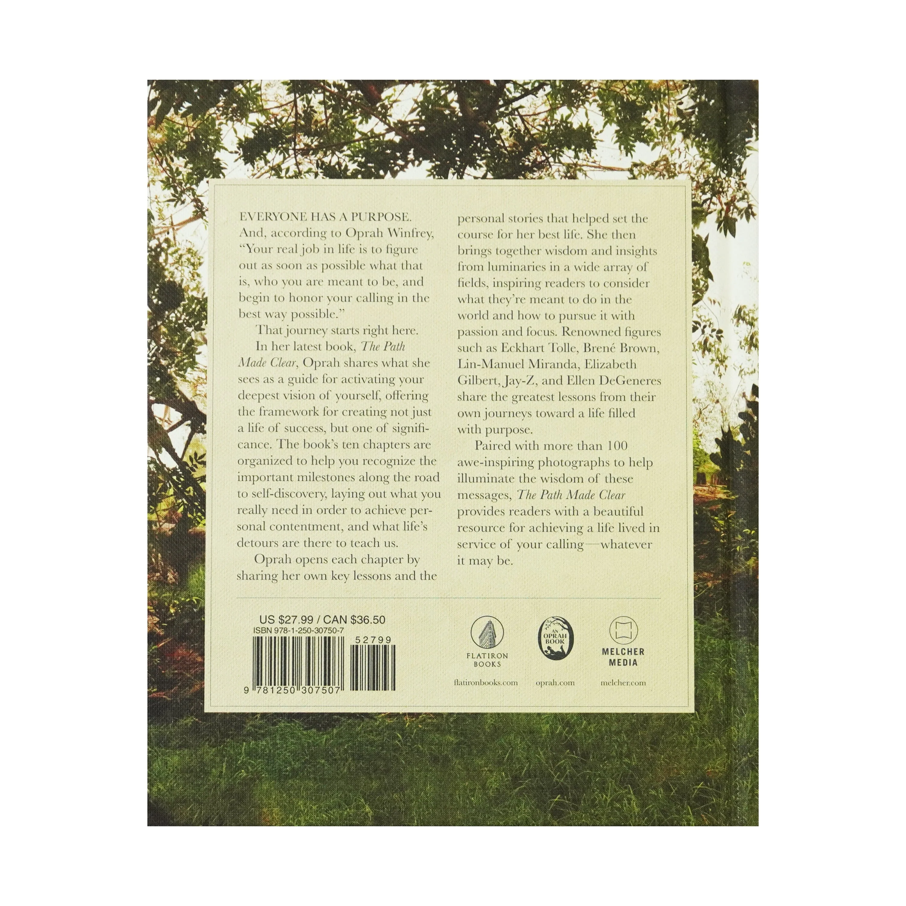 Damaged - The Path Made Clear By Oprah Winfrey - Non-Fiction - Hardback - T 32 - Image 3