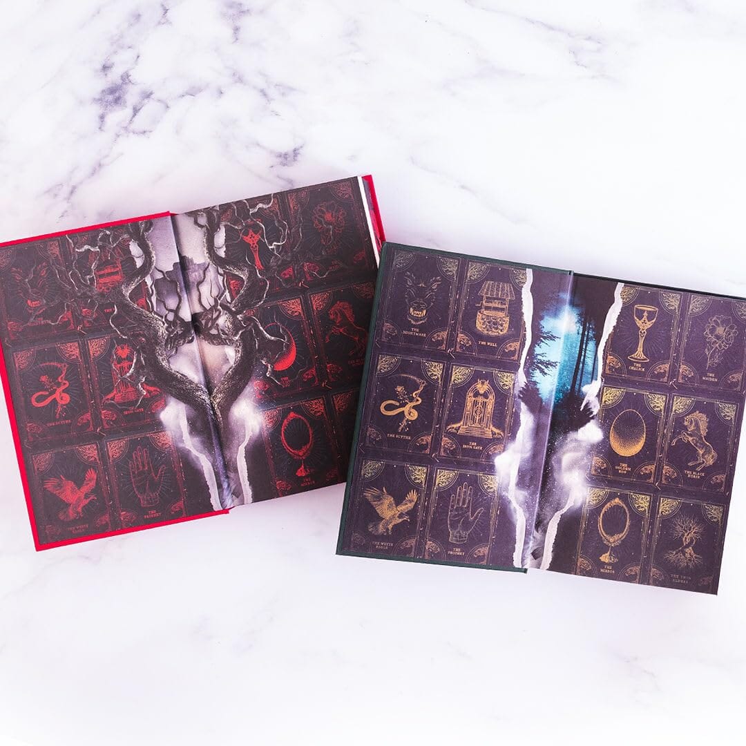 The Shepherd King Series By Rachel Gillig: 2 Books Collectors Edition with Sprayed Edges - Fiction - Hardback - Image 9