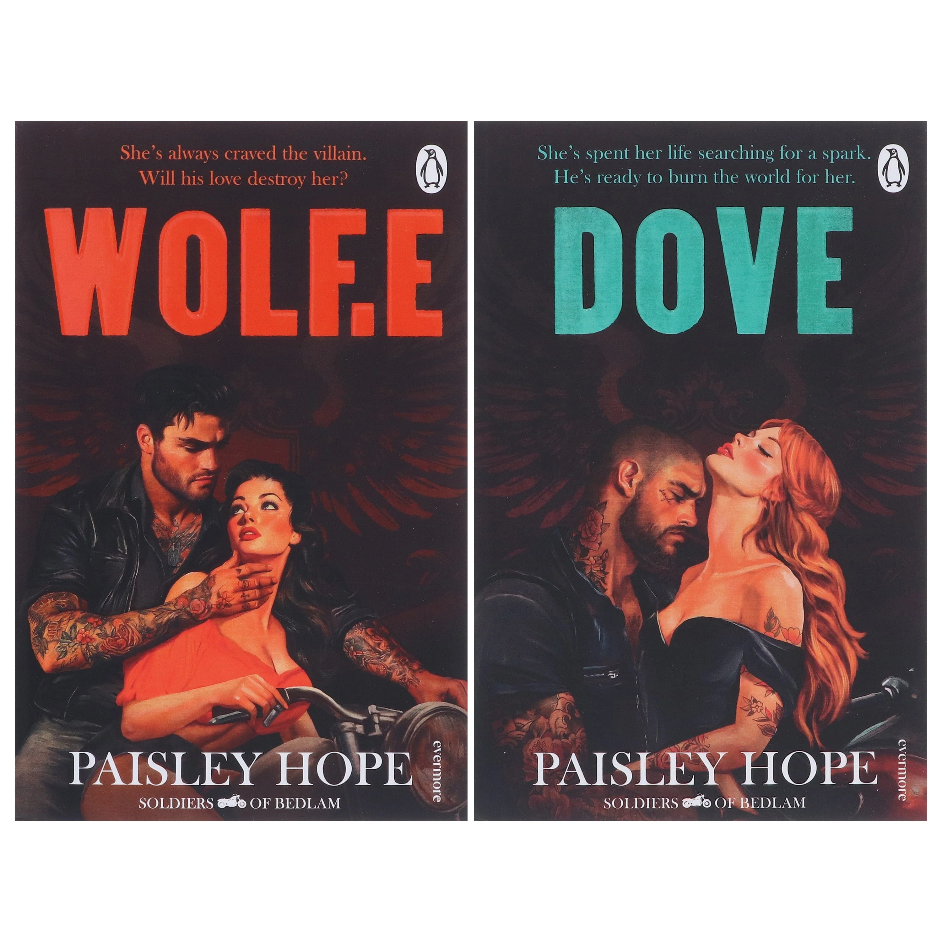 The Soldiers of Bedlam Series by Paisley Hope 2 Books Collection Set - Fiction - Paperback - Image 2