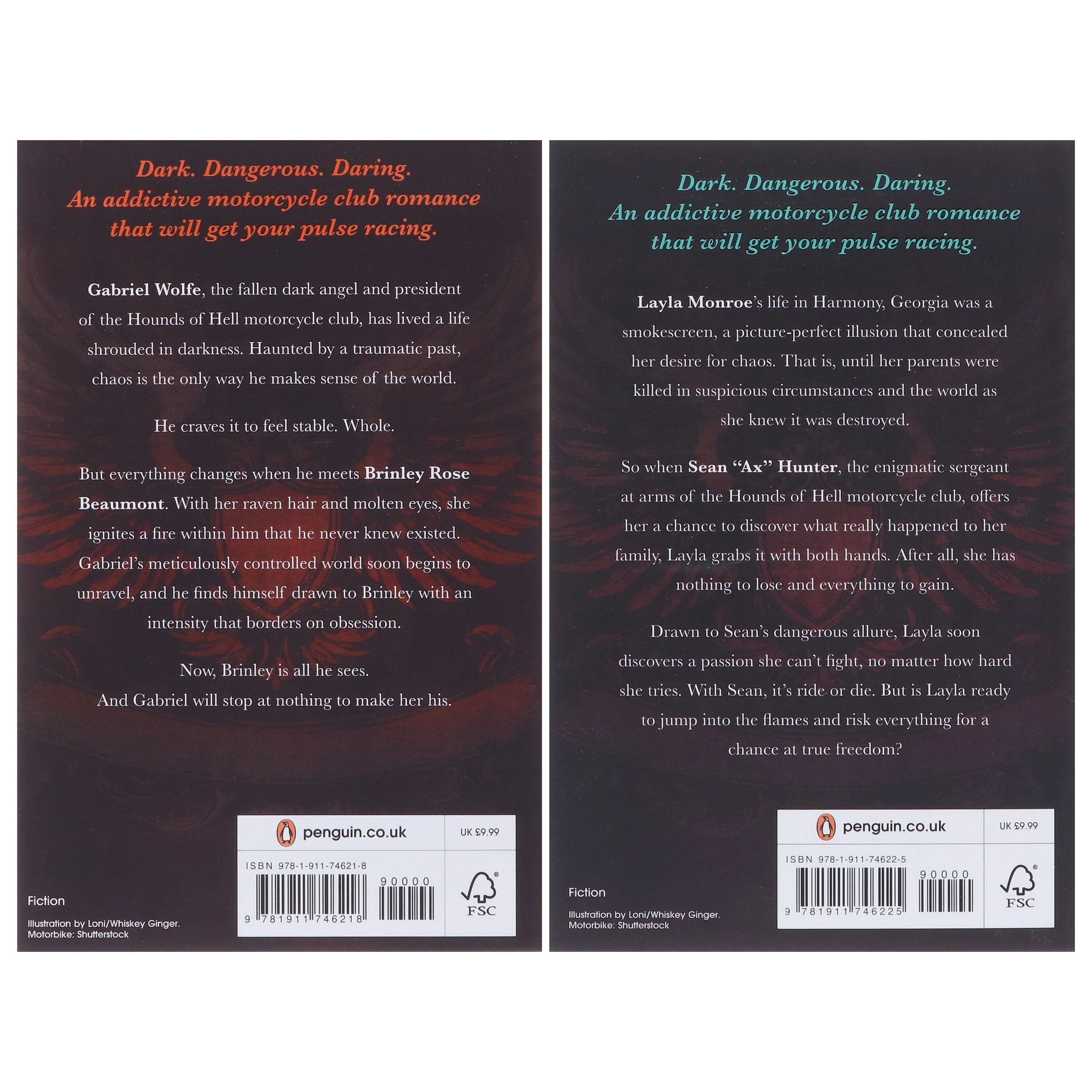 The Soldiers of Bedlam Series by Paisley Hope 2 Books Collection Set - Fiction - Paperback - Image 3