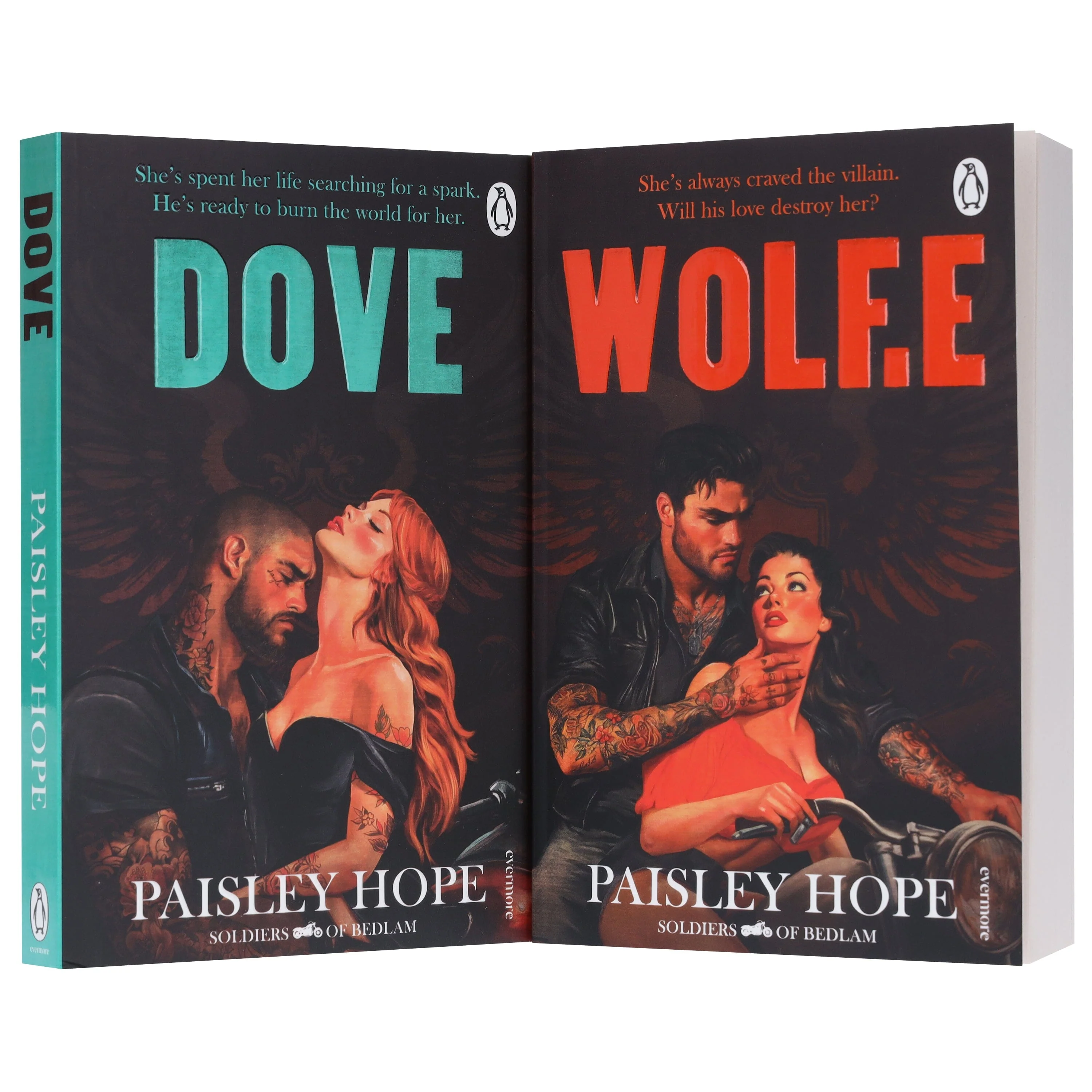 The Soldiers of Bedlam Series by Paisley Hope 2 Books Collection Set - Fiction - Paperback - Image 4