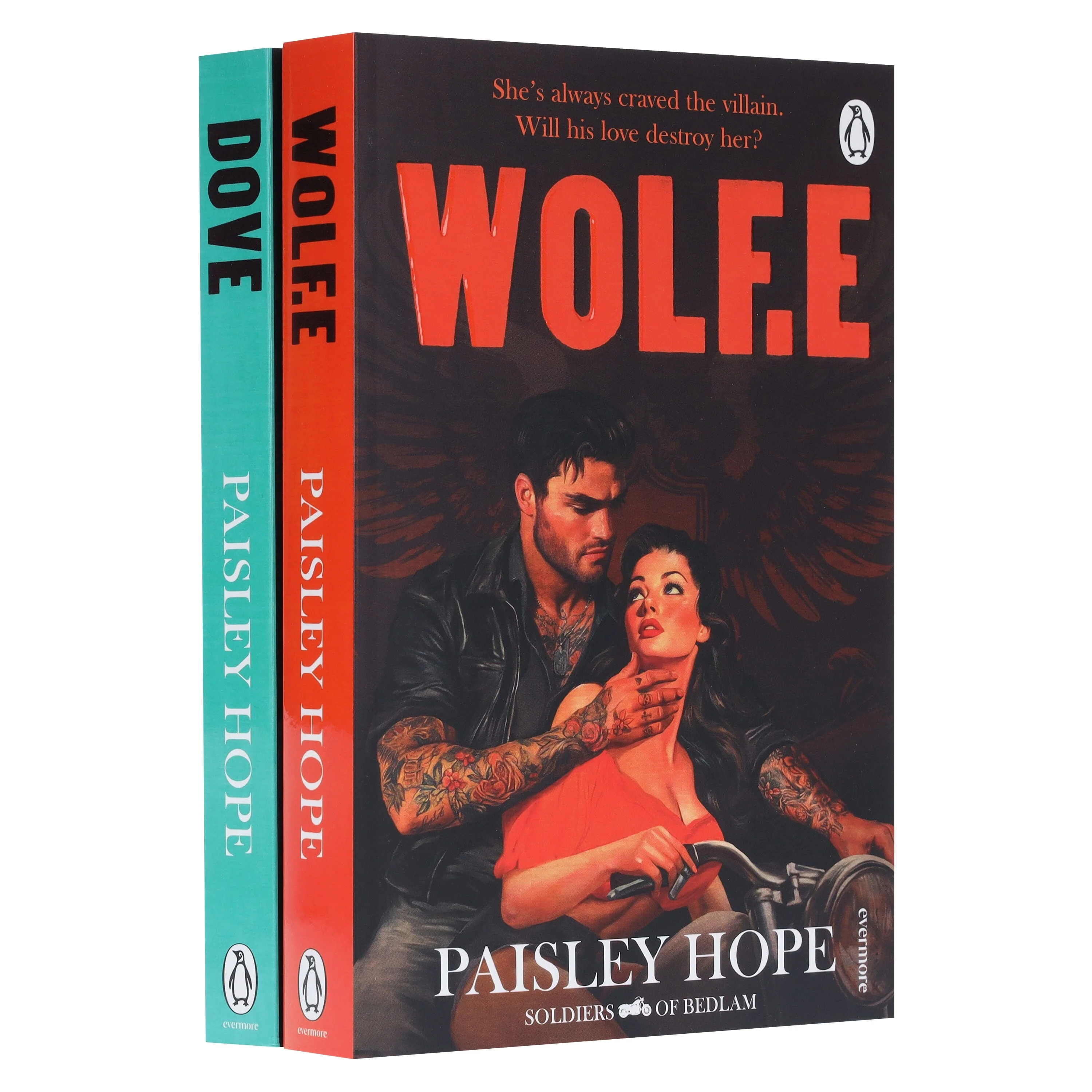 The Soldiers of Bedlam Series by Paisley Hope 2 Books Collection Set - Fiction - Paperback - Image 5