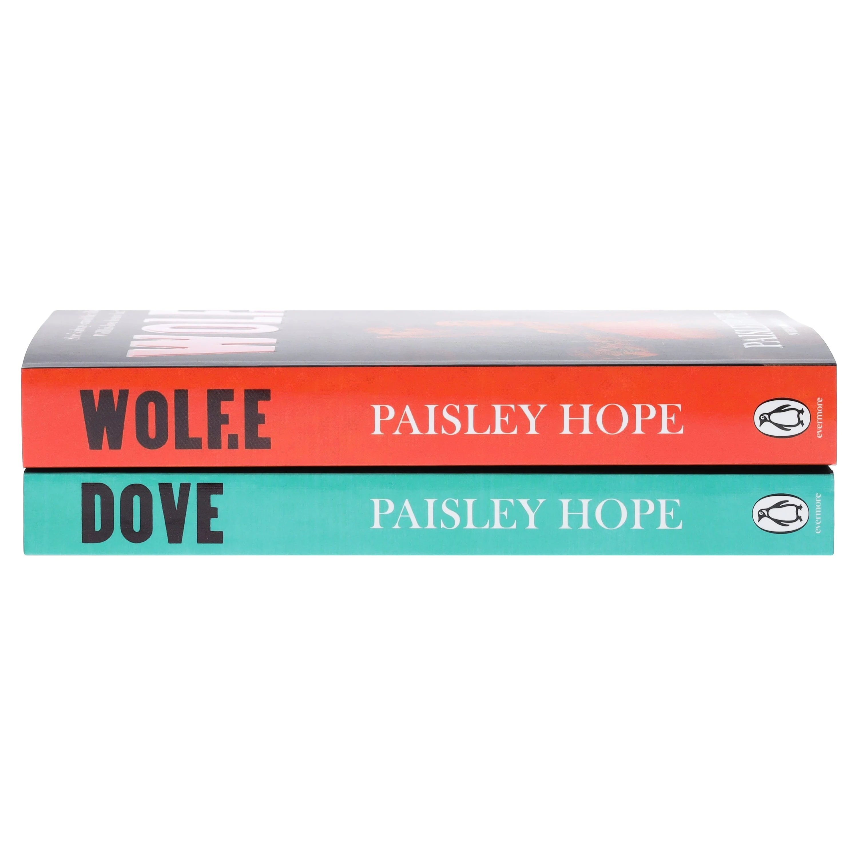 The Soldiers of Bedlam Series by Paisley Hope 2 Books Collection Set - Fiction - Paperback - Image 6
