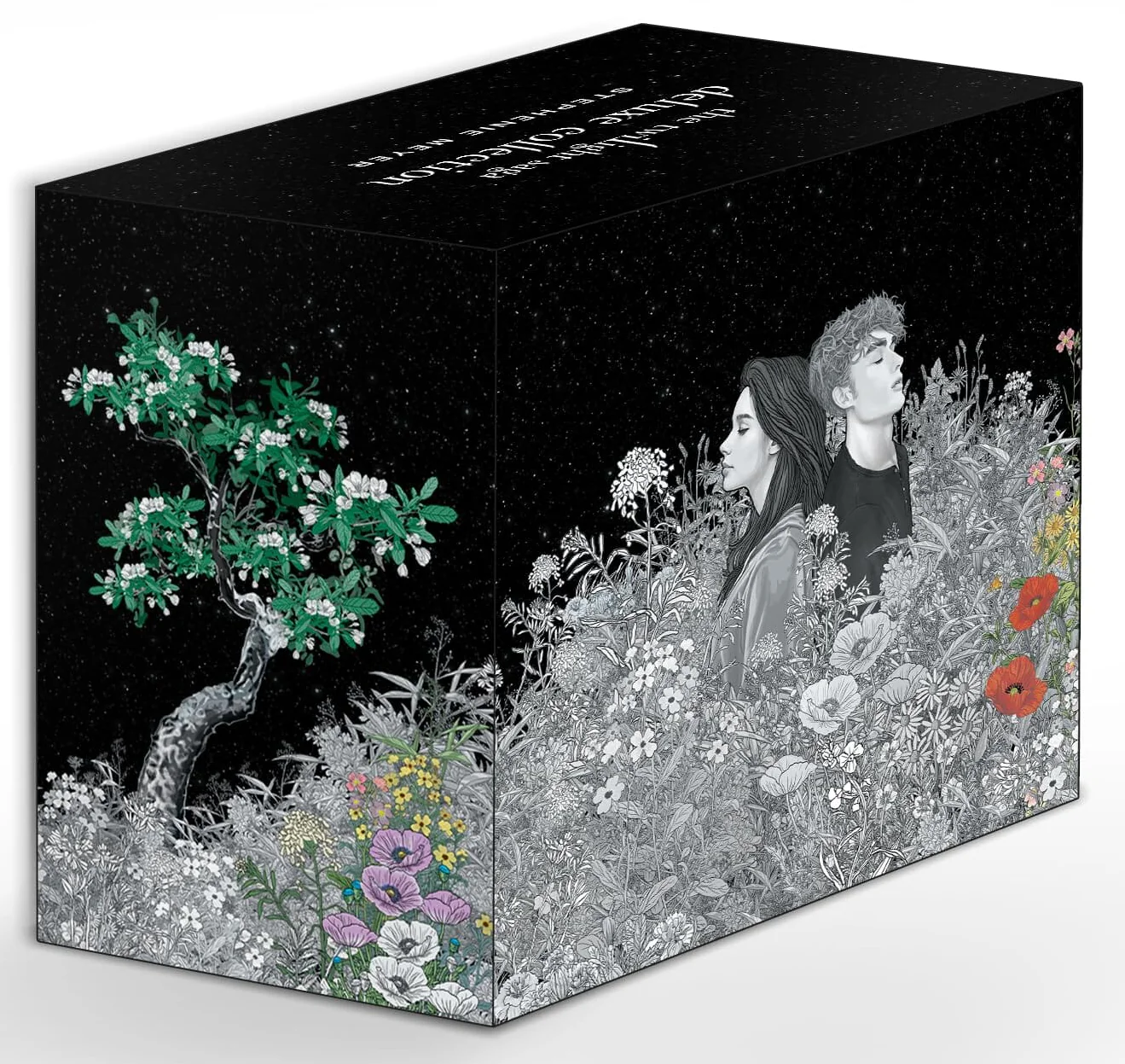 The Twilight Saga Deluxe Edition by Stephenie Meyer 5 Books Box Set - Ages 15+ - Hardback - Image 8
