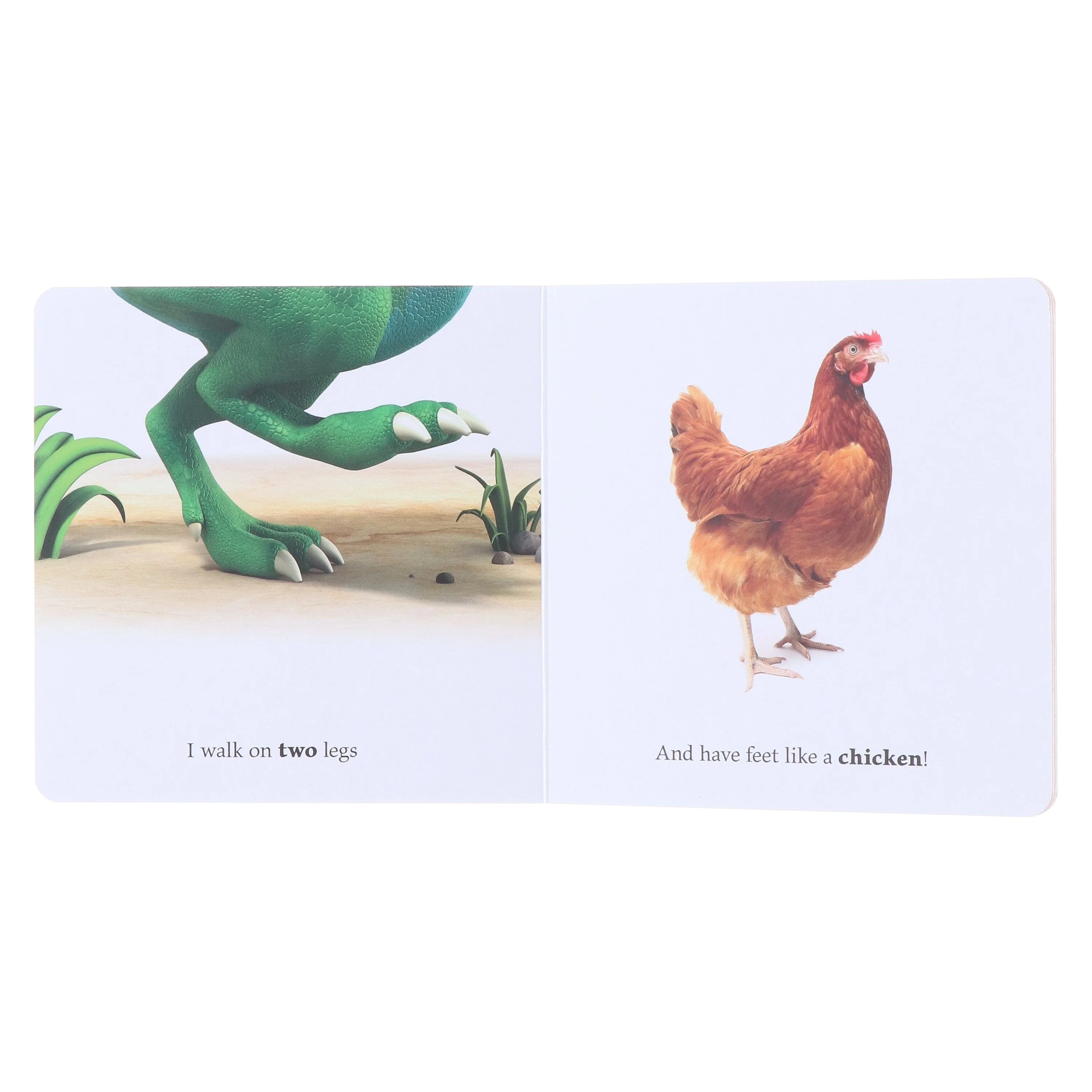 The World of Dinosaur Roar!: What Dinosaur Am I? by Peter Curtis 4 Books Collection Box Set - Ages 3+ - Board Book - Image 5