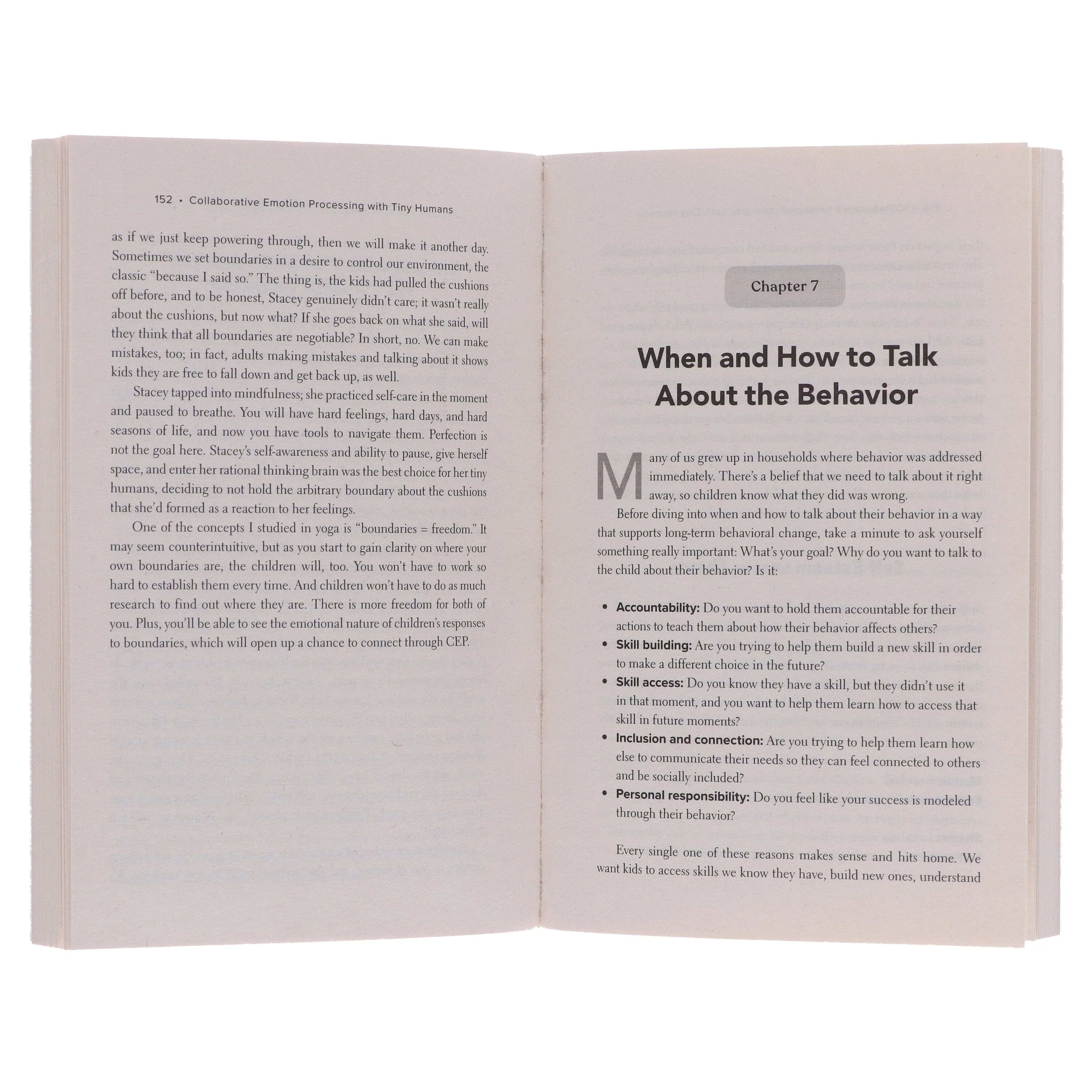 Tiny Humans, Big Emotions: How to Navigate Tantrums, Meltdowns, and Defiance to Raise Emotionally Intelligent Children - Non Fiction - Paperback - Image 5