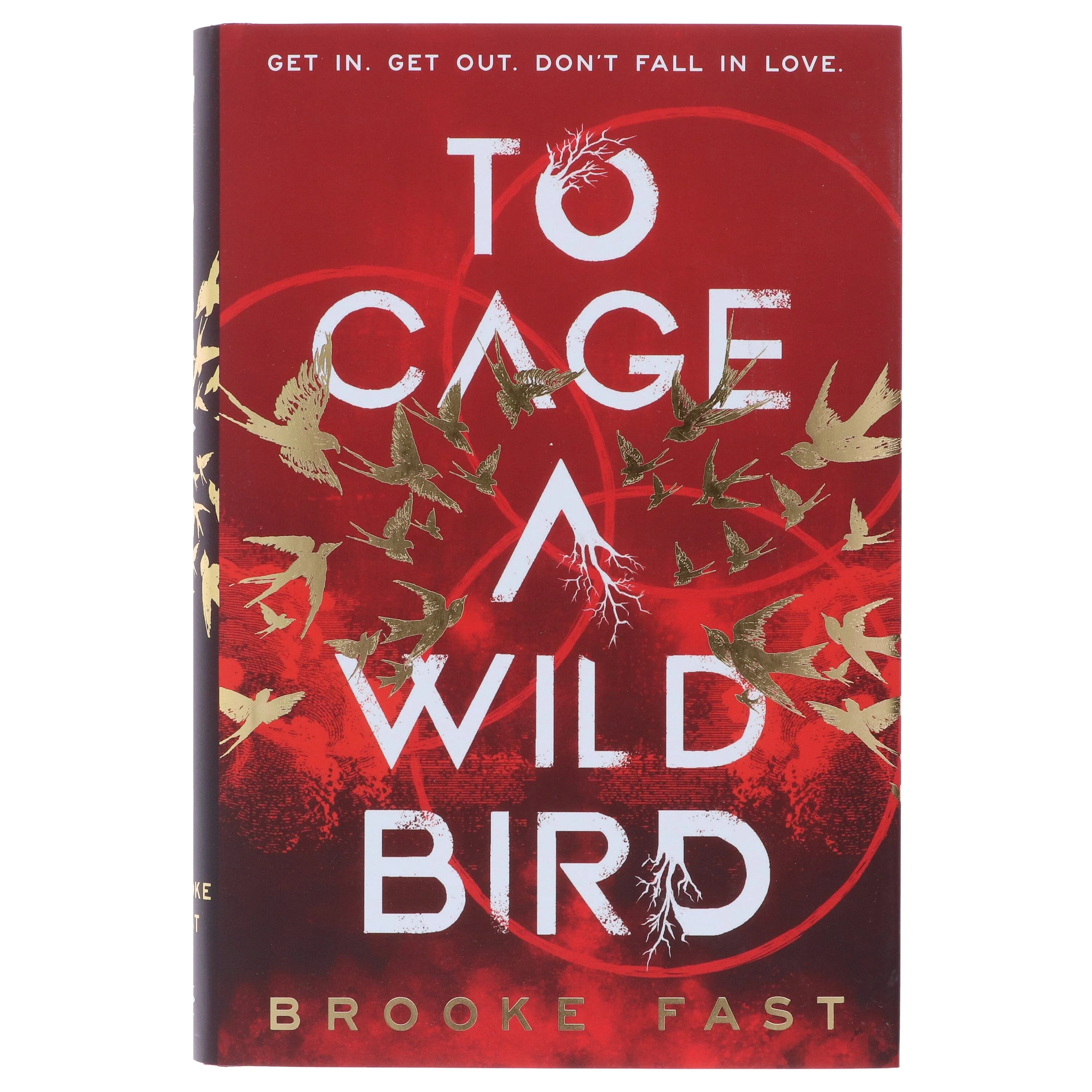 To Cage a Wild Bird by Brooke Fast (Divided Fates Series)- Fiction - Hardback - Image 2