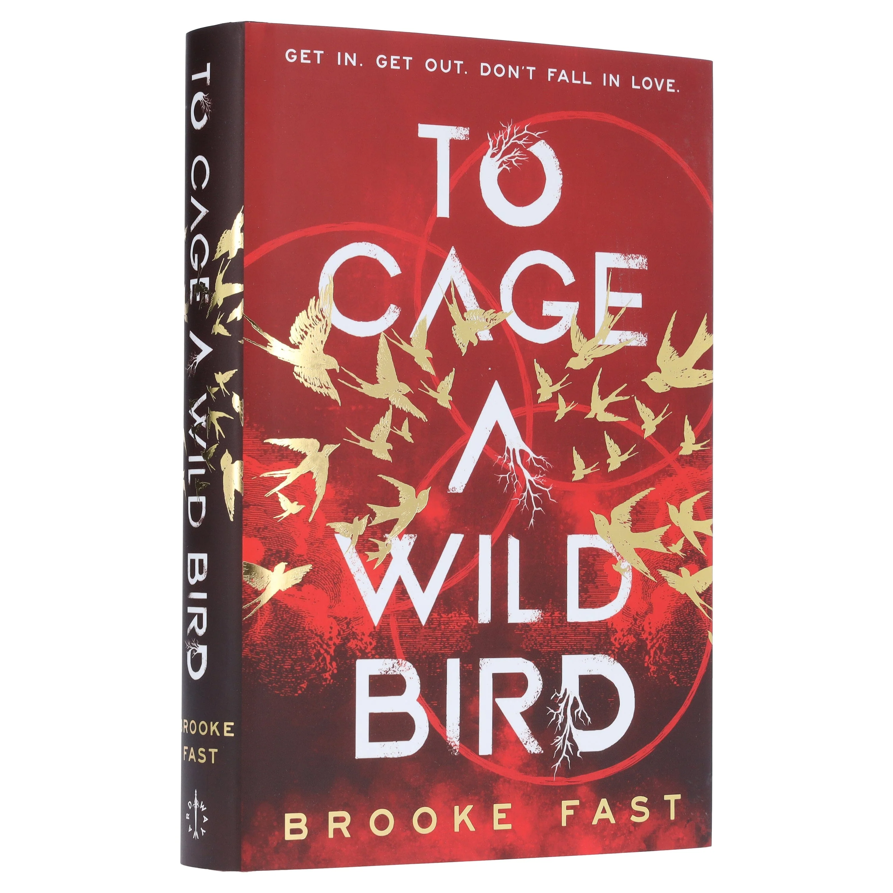 To Cage a Wild Bird by Brooke Fast (Divided Fates Series)- Fiction - Hardback - Image 4