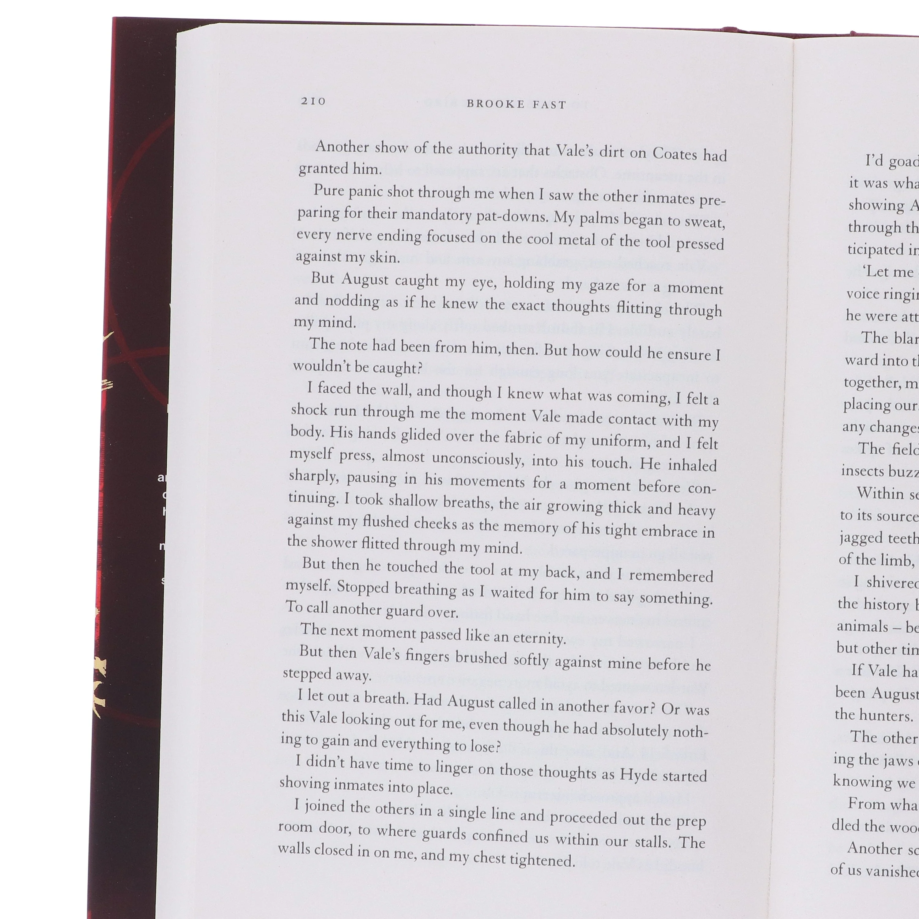 To Cage a Wild Bird by Brooke Fast (Divided Fates Series)- Fiction - Hardback - Image 5