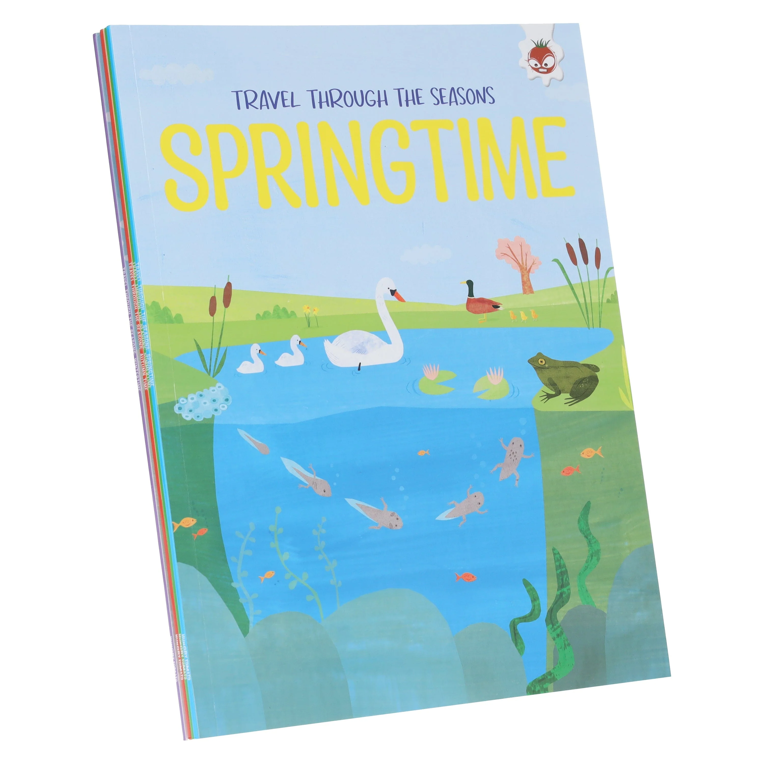 Travel Through The Seasons Series by Annabel Griffin Illustrated 4 Books Collection Set - Ages 5+ - Paperback - Image 3