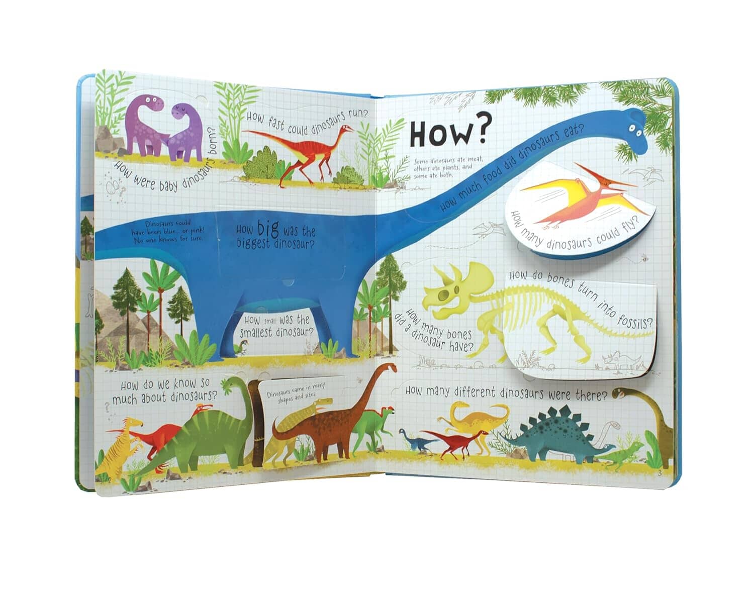 Usborne: Lift-the-flap Questions and Answers about Dinosaurs by Katie Daynes - Ages 5+ - Board Book - Image 5