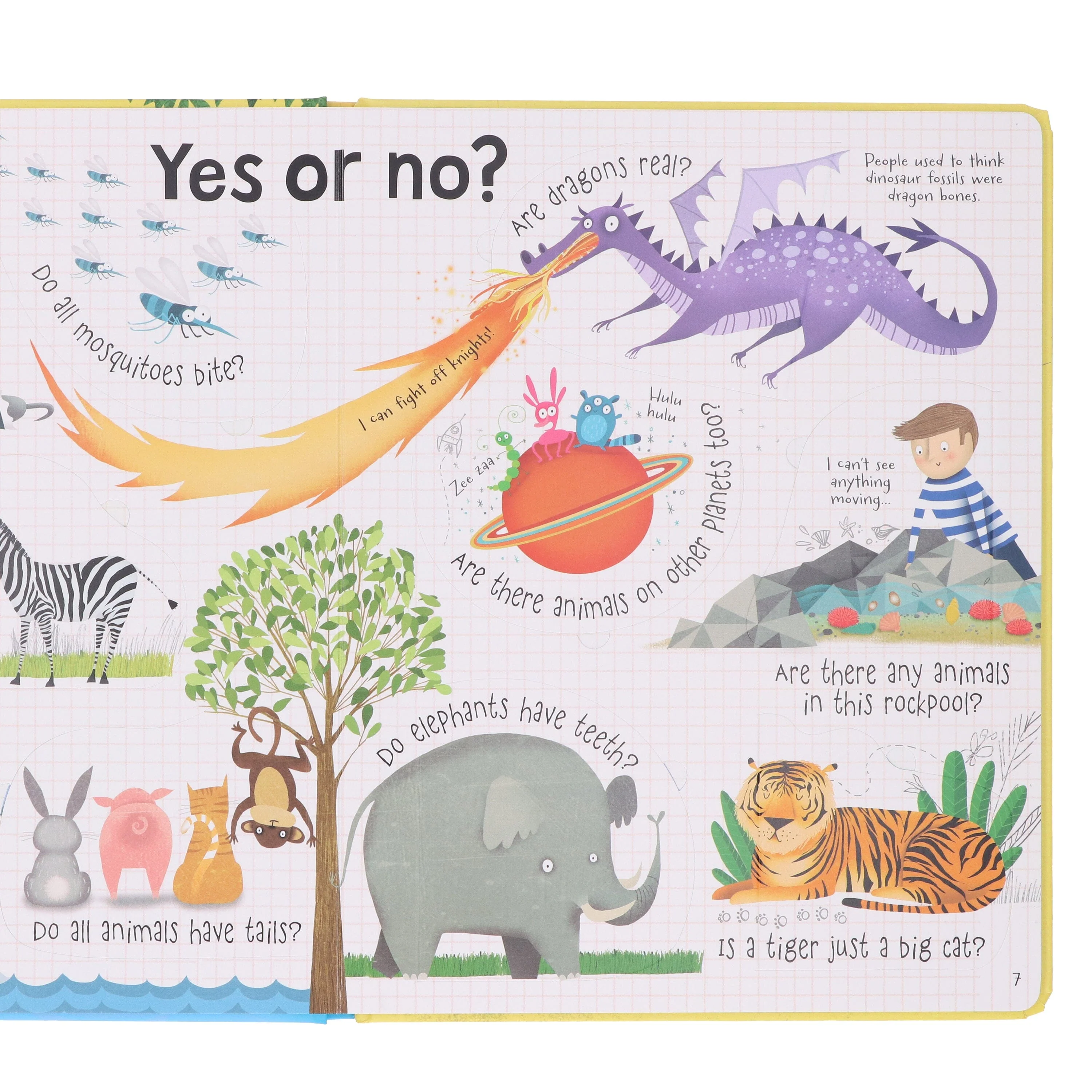 Usborne Lift-the-Flap Questions & Answers about Animals by Katie Daynes & Marie-Eve Tremblay - Ages 5+ - Board Book - Image 5