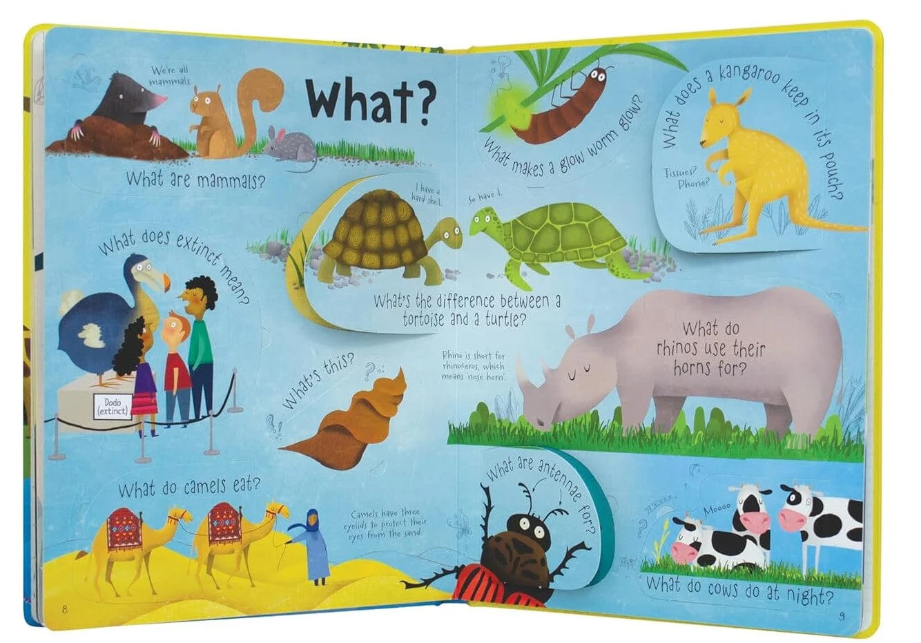Usborne Lift-the-Flap Questions & Answers about Animals by Katie Daynes & Marie-Eve Tremblay - Ages 5+ - Board Book - Image 6