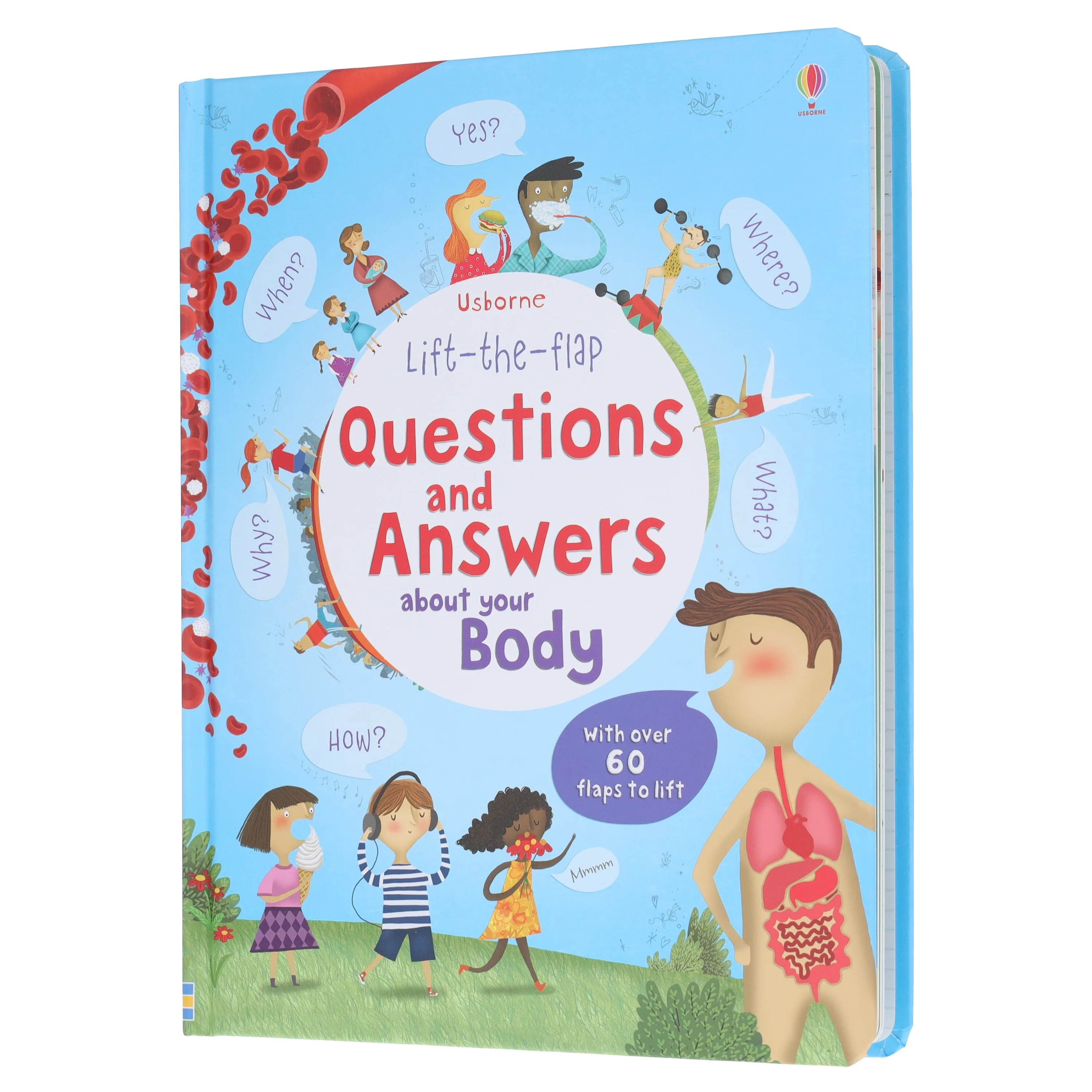 Usborne: Lift the Flap Questions & Answers about your Body by Katie Daynes - Ages 4+ - Board Book - Image 4