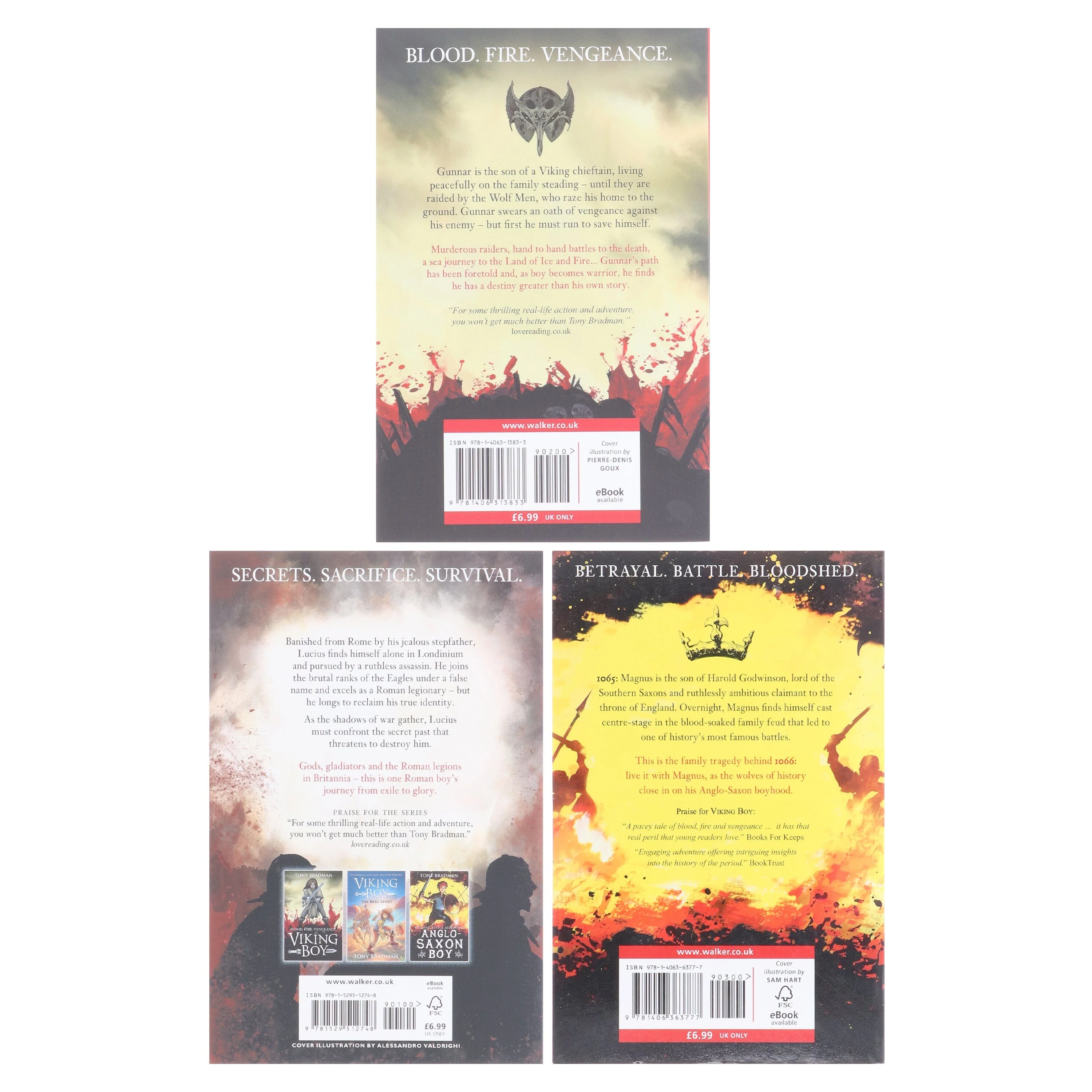 Viking Boy Series by Tony Bradman Illustrated 3 Books Collection Set - Ages 9-12 - Paperback - Image 3