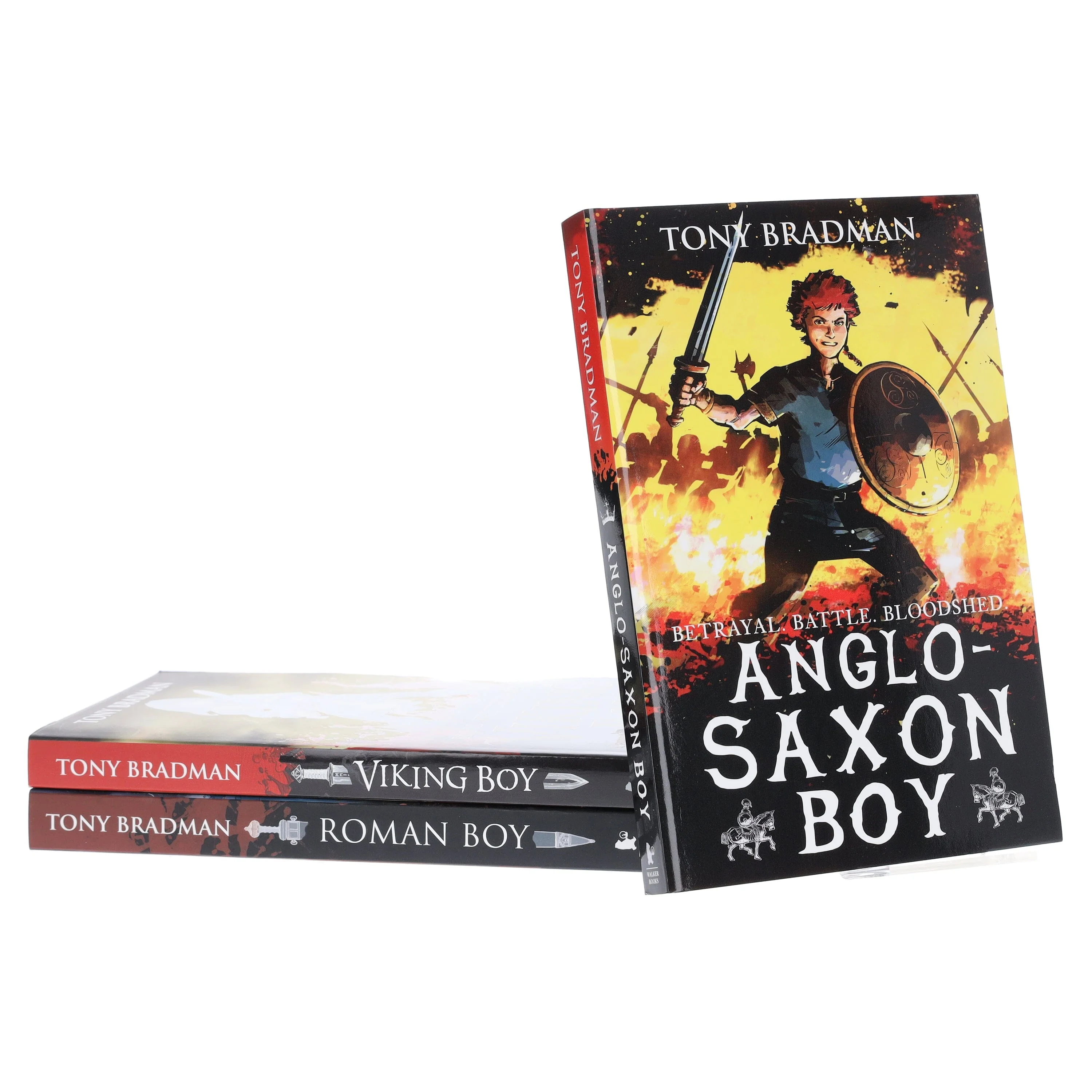 Viking Boy Series by Tony Bradman Illustrated 3 Books Collection Set - Ages 9-12 - Paperback - Image 4