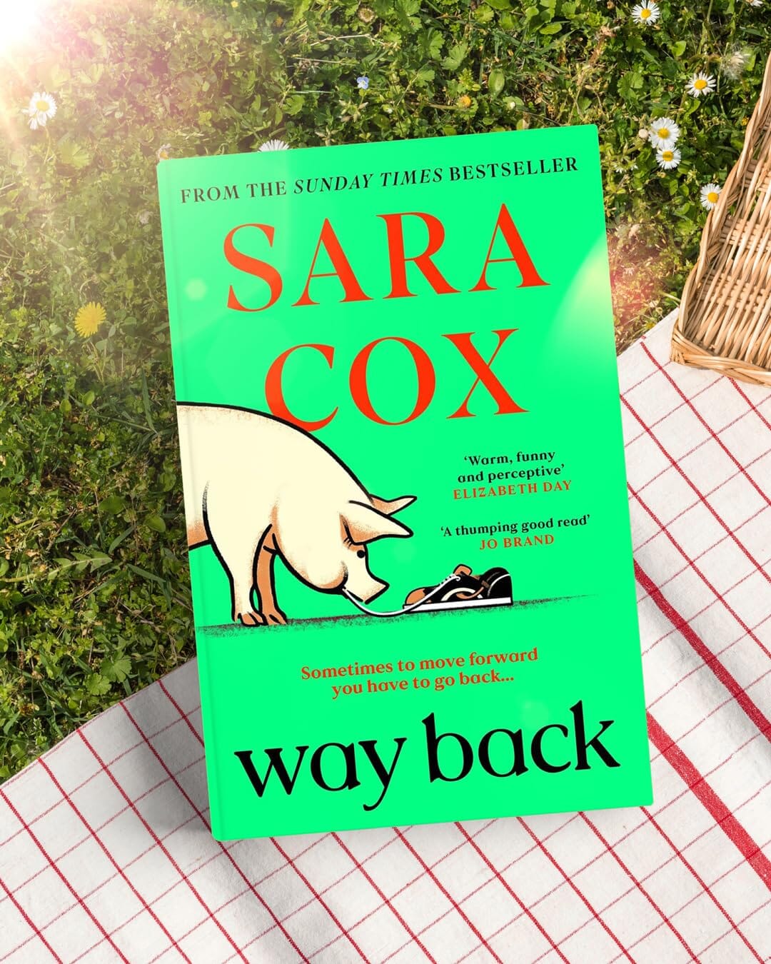 Way Back: The Warm and Witty Novel by Sara Cox - Fiction - Paperback - Image 2