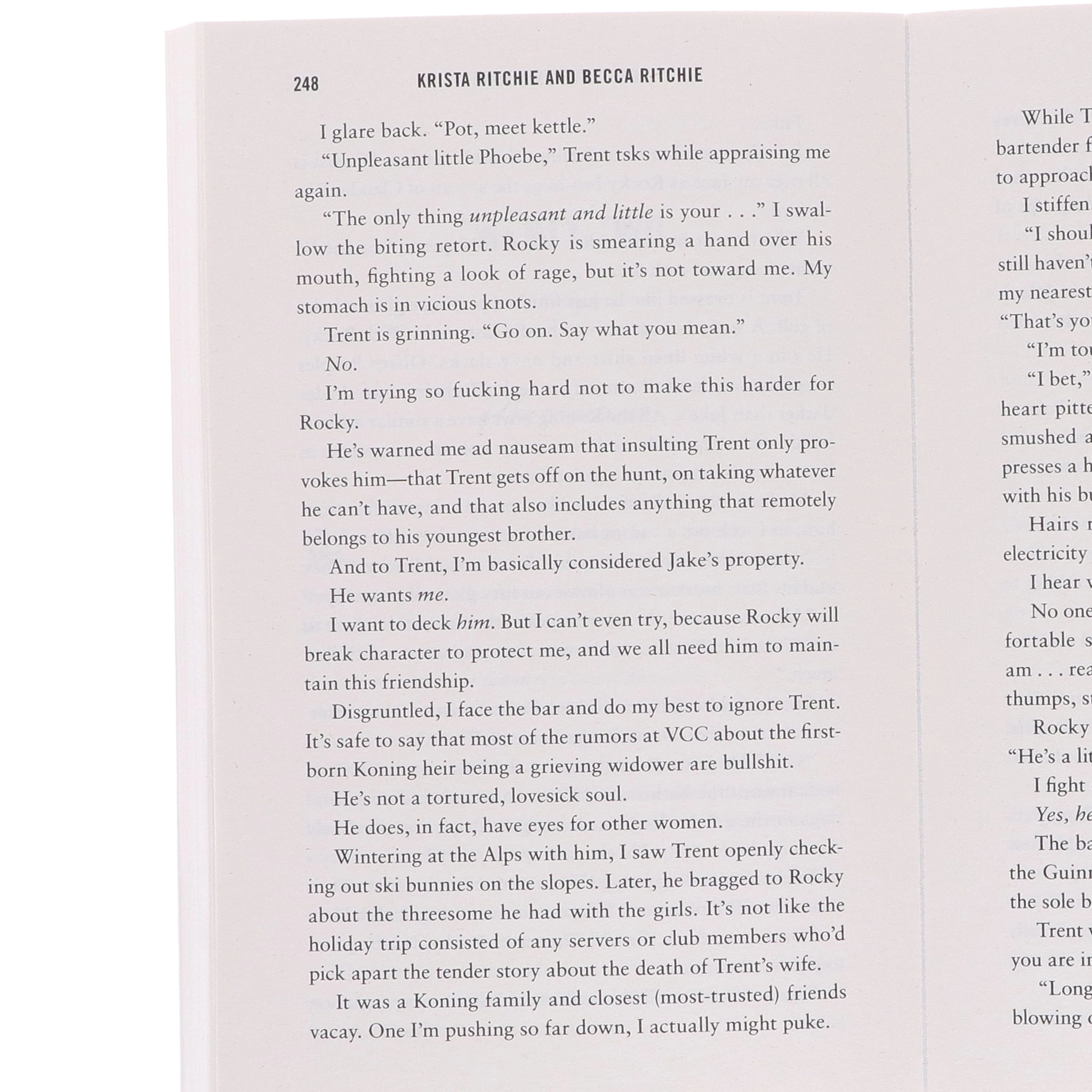 Webs We Weave Series by Krista & Becca Ritchie 2 Books Collection Set - Fiction - Paperback - Image 8
