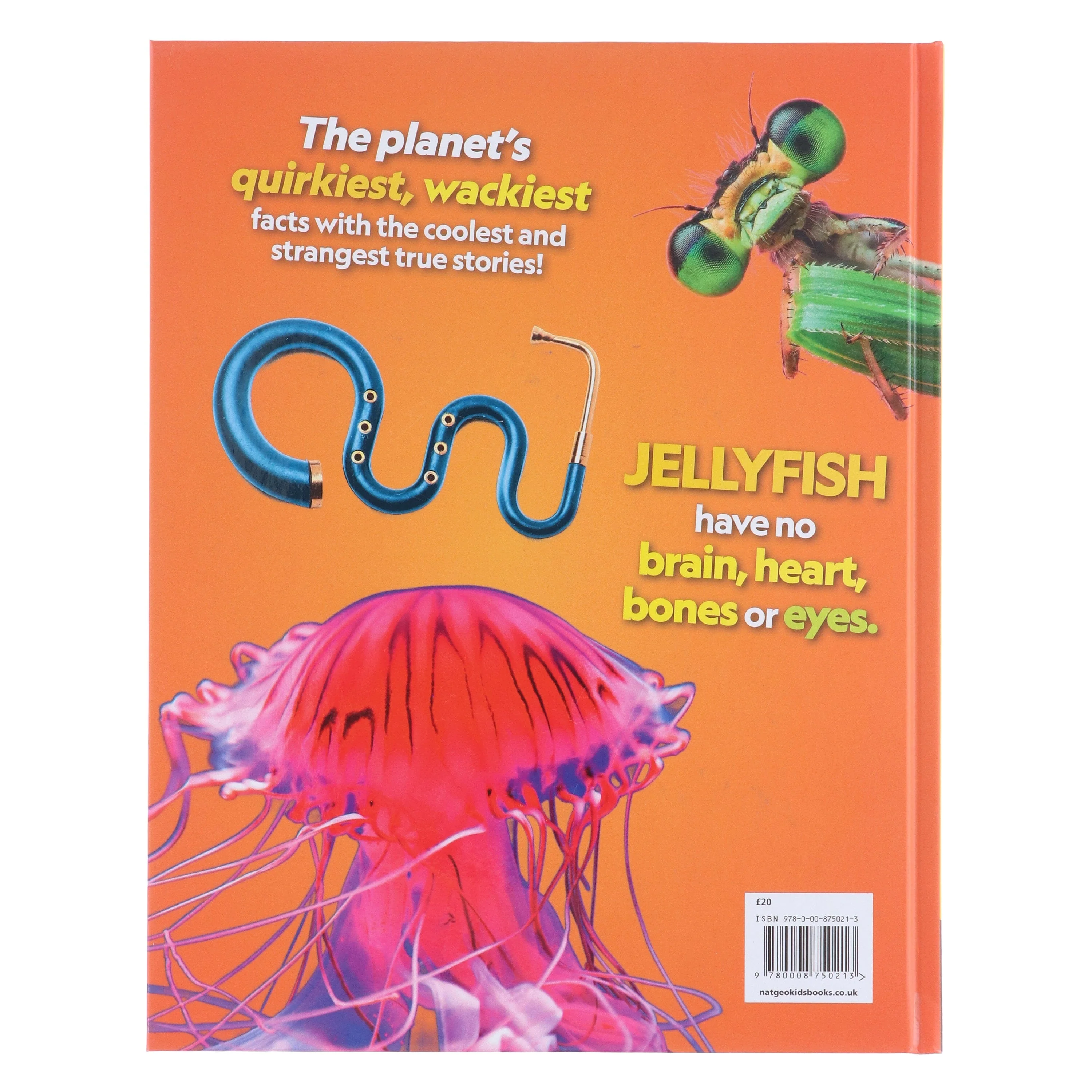 Weird But True! 2026: Wild and Wacky Facts & Photos! by National Geographic Kids - Ages 5+ - Hardback - Image 3