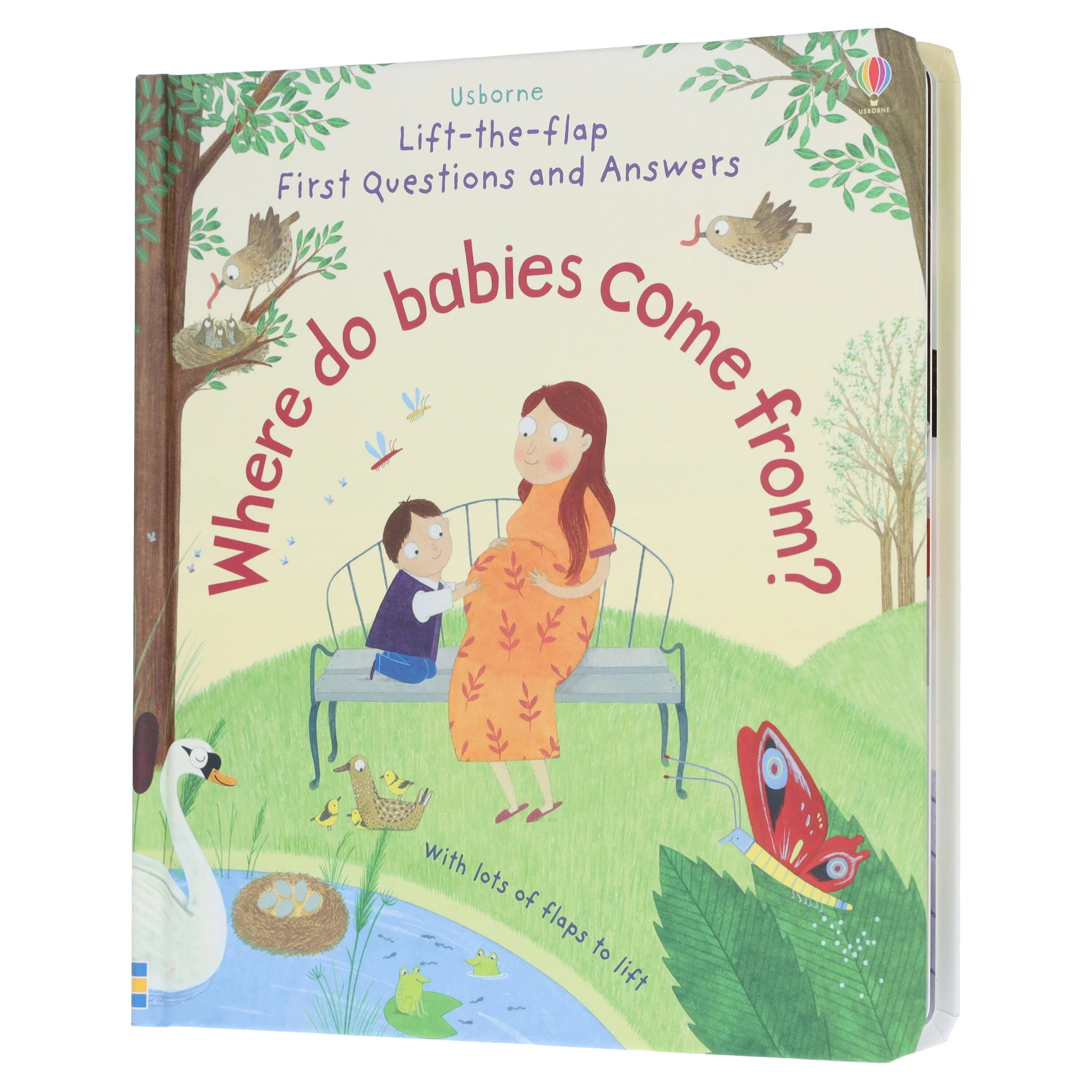 Where Do Babies Come from? (Usborne: Lift-The-Flap First Questions & Answers) - Ages 3-5 - Board Book - Image 4