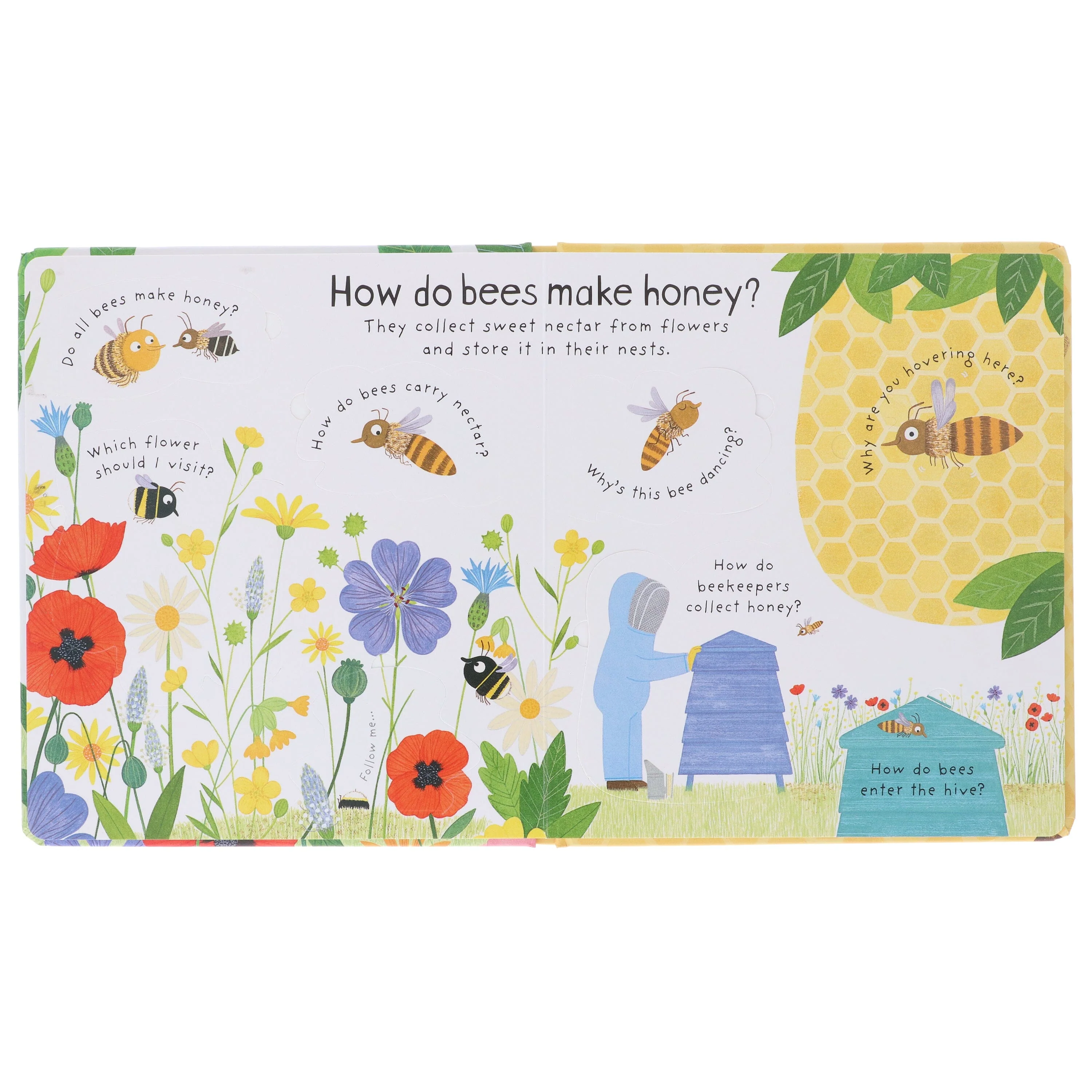 Why Do We Need Bees? (Usborne: Lift-the-Flap First Questions and Answers) by Katie Daynes - Ages 4+ - Board Book - Image 5